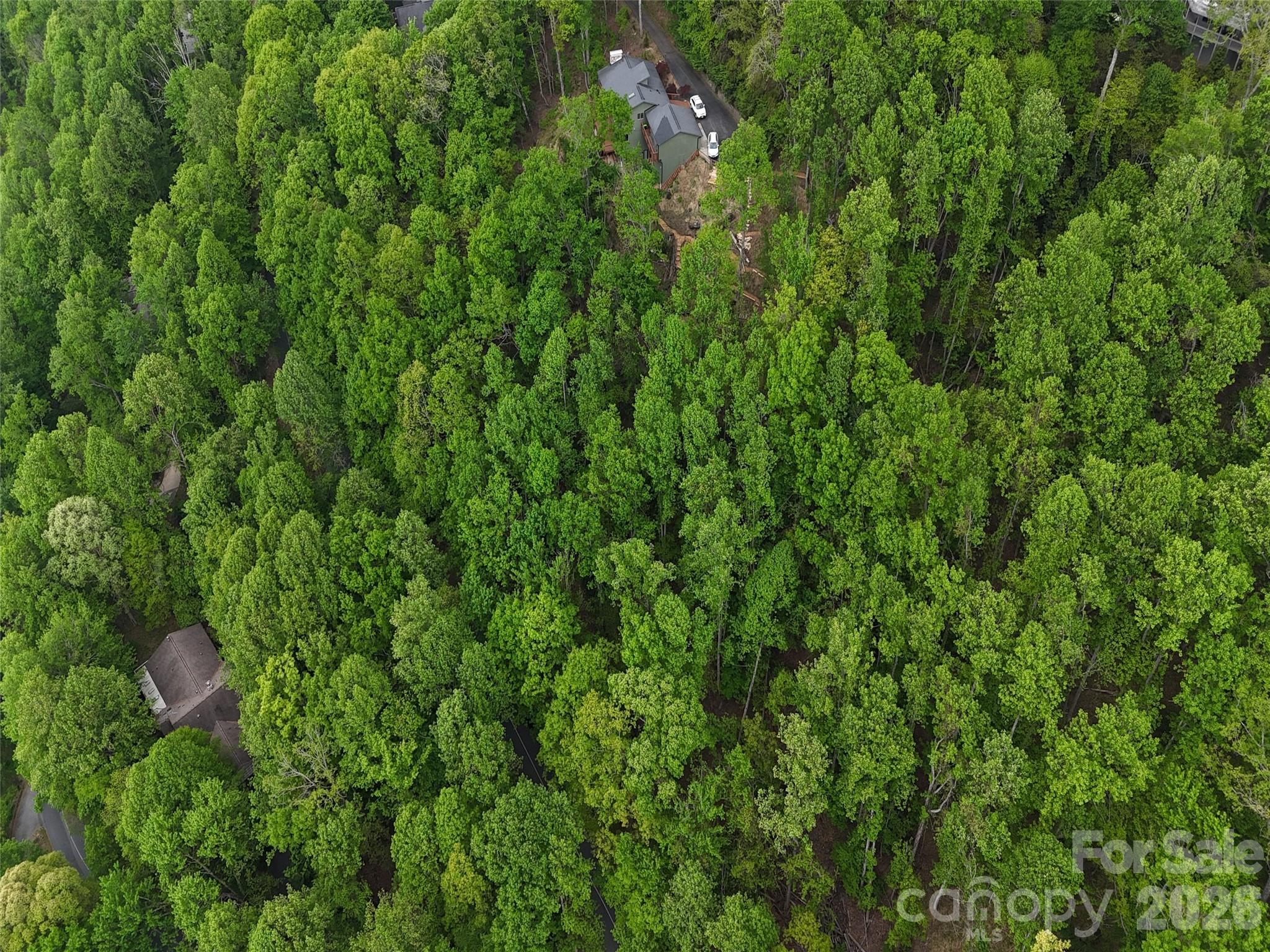 Lot #117 Honey Locust Drive Mills River NC 28759