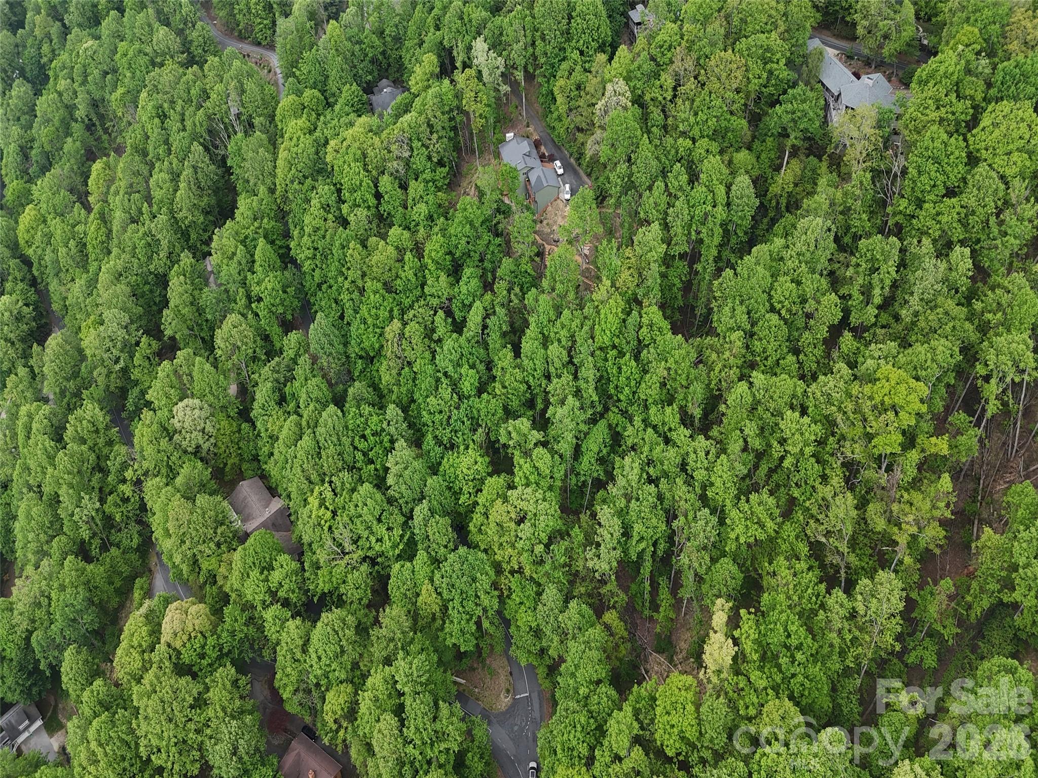 Lot #117 Honey Locust Drive Mills River NC 28759