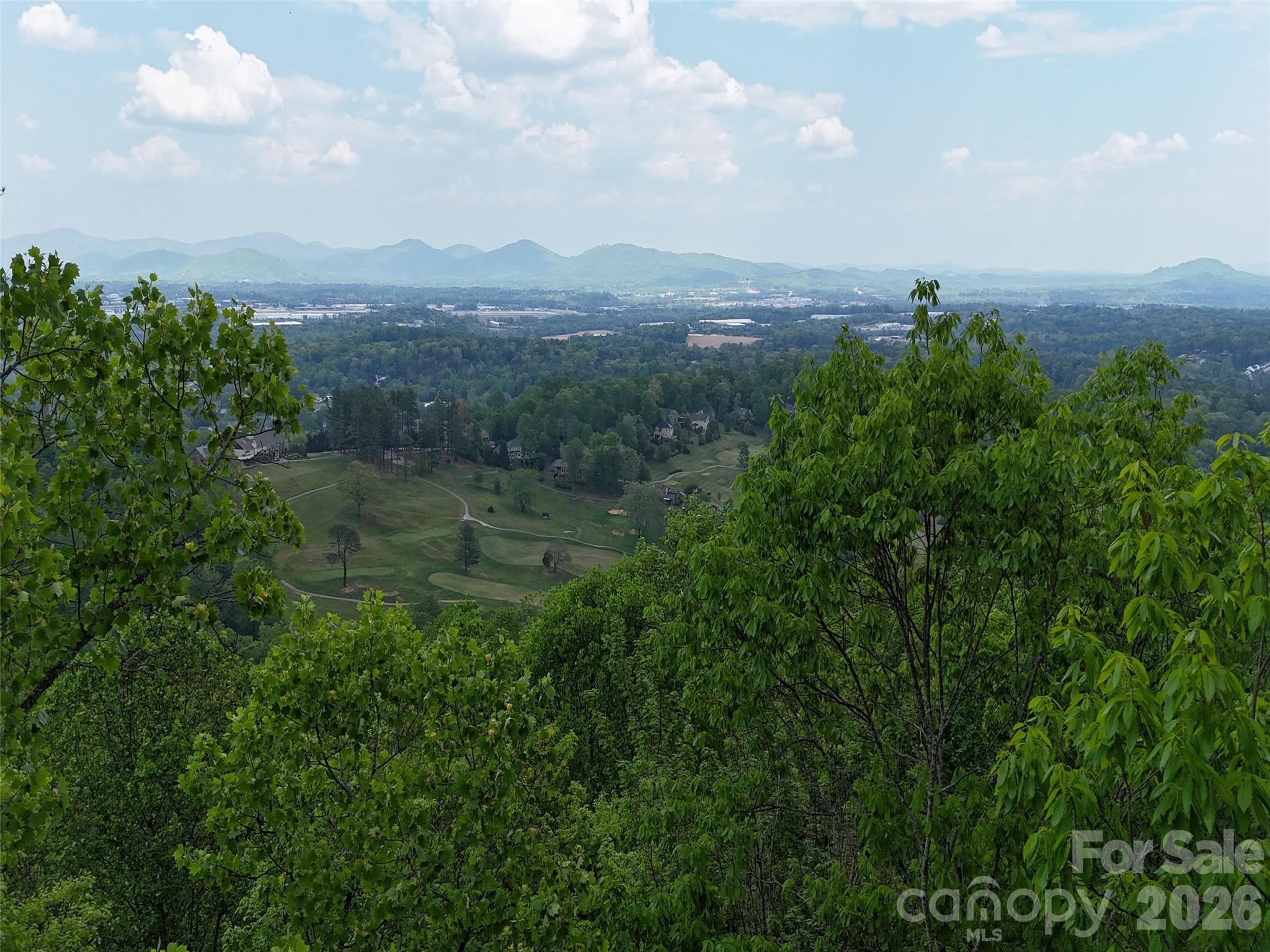 Lot #117 Honey Locust Drive Mills River NC 28759