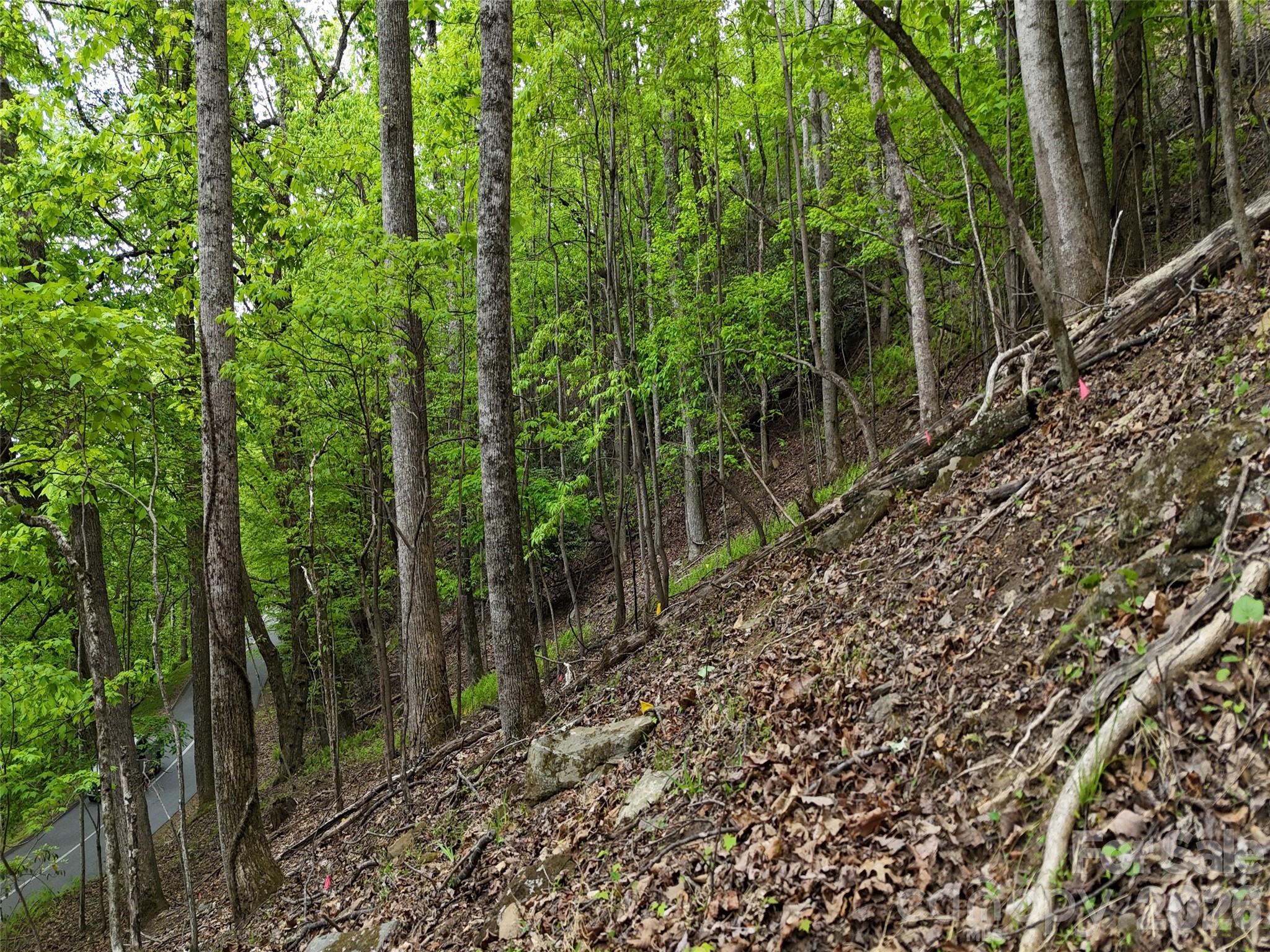 Lot #117 Honey Locust Drive Mills River NC 28759