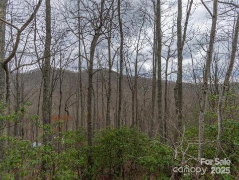 74 Quest Ridge Sylva NC 28779