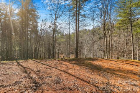 148 Fish Pond Lane Burnsville NC 28714