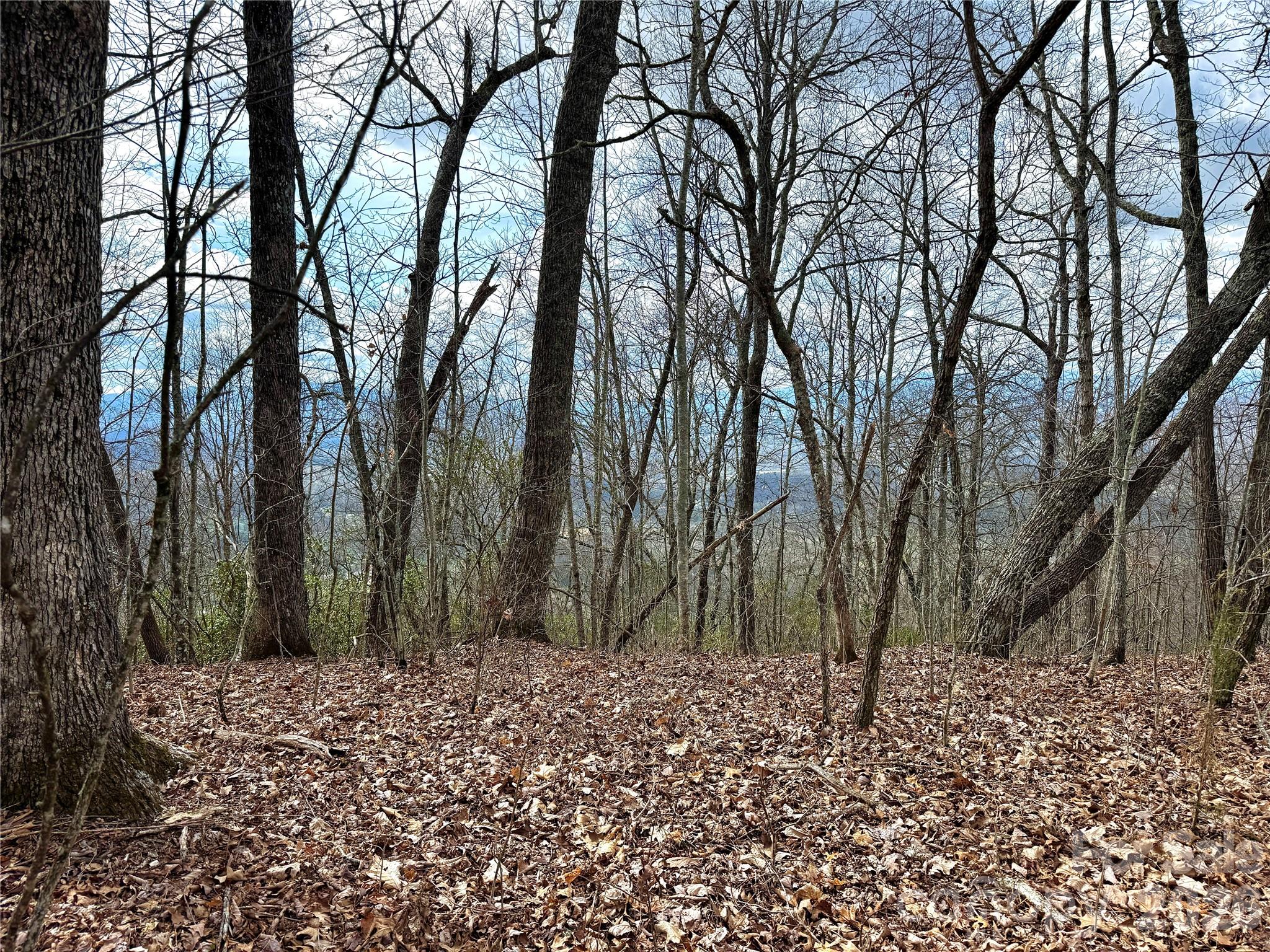 00 Lone Oak Ridge Franklin NC 28734
