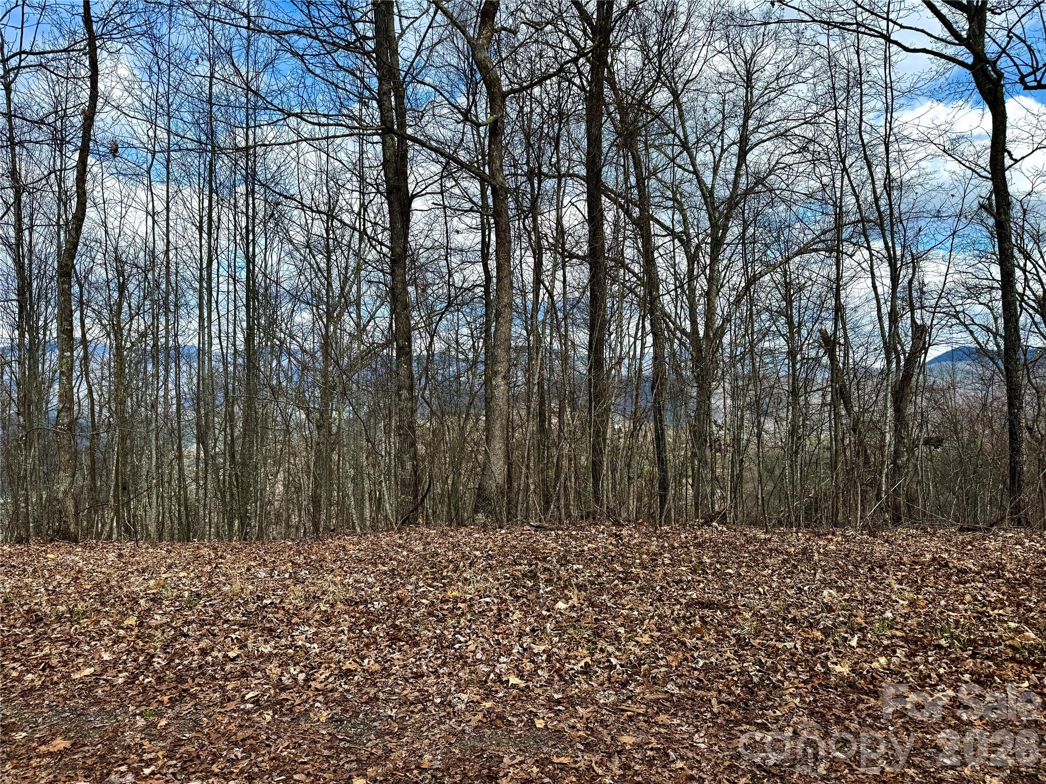 00 Lone Oak Ridge Franklin NC 28734