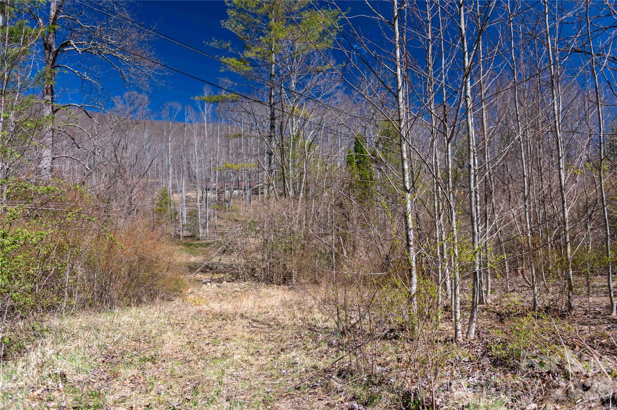 99 Banjo Branch Road Burnsville NC 28714