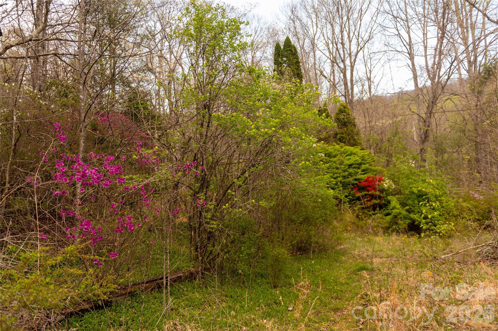 99 Banjo Branch Road Burnsville NC 28714