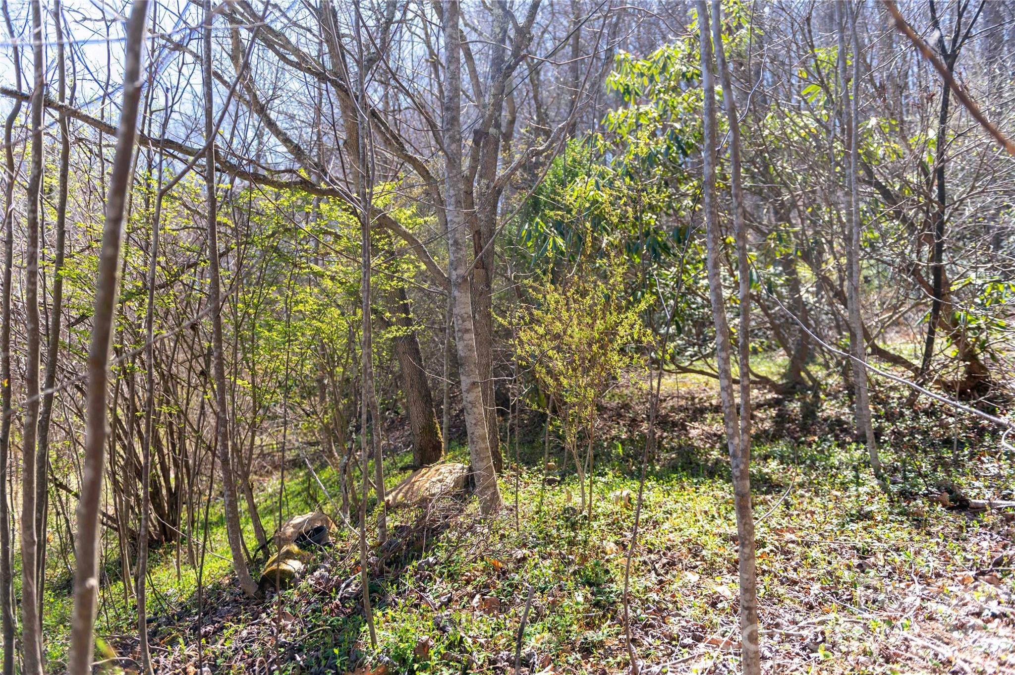 99 Banjo Branch Road Burnsville NC 28714