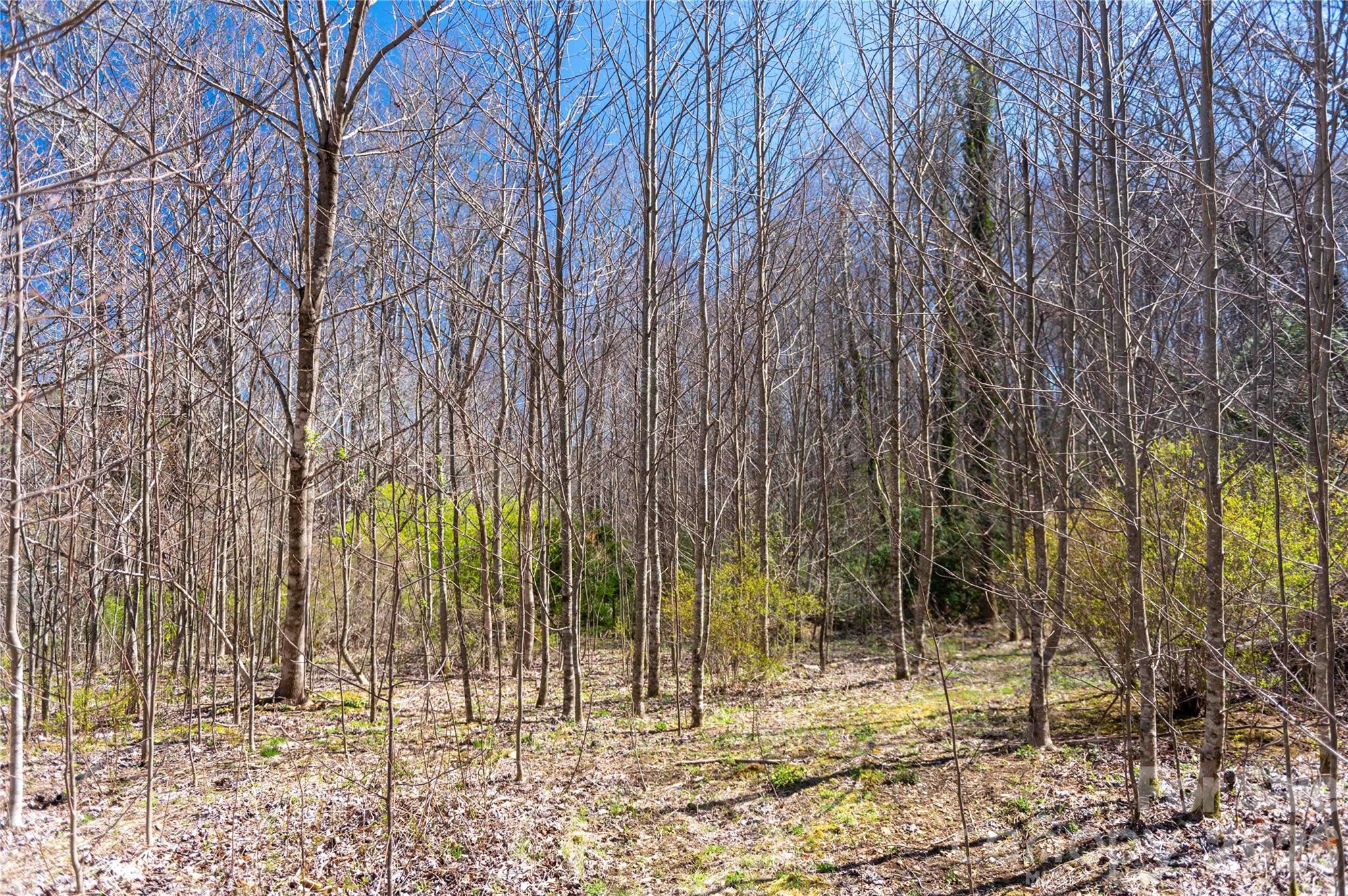 99 Banjo Branch Road Burnsville NC 28714