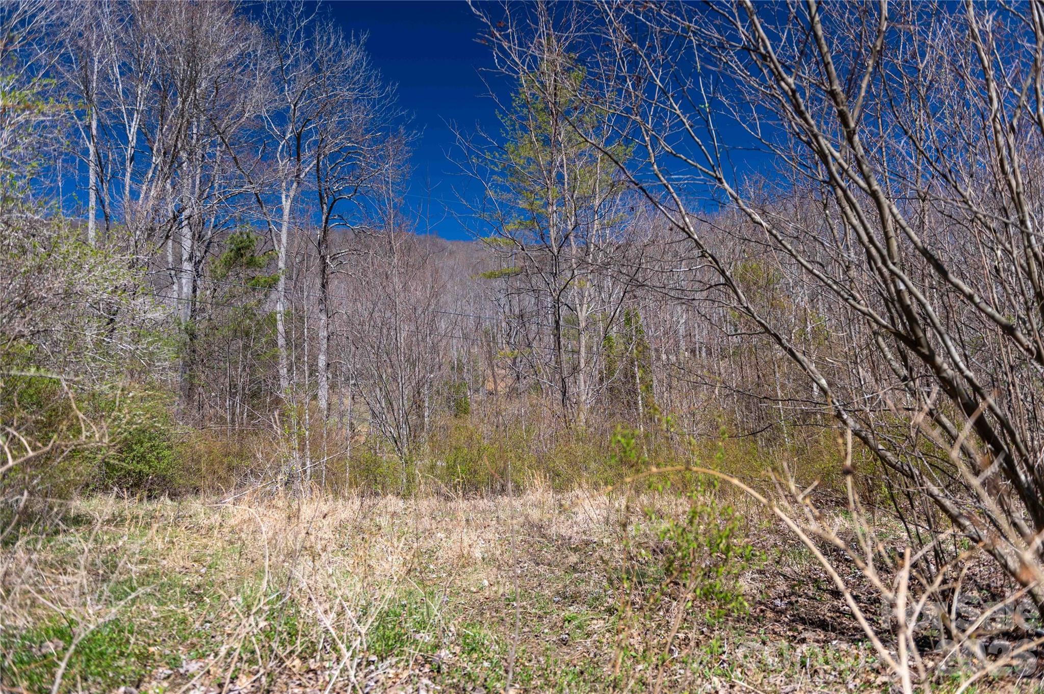 99 Banjo Branch Road Burnsville NC 28714