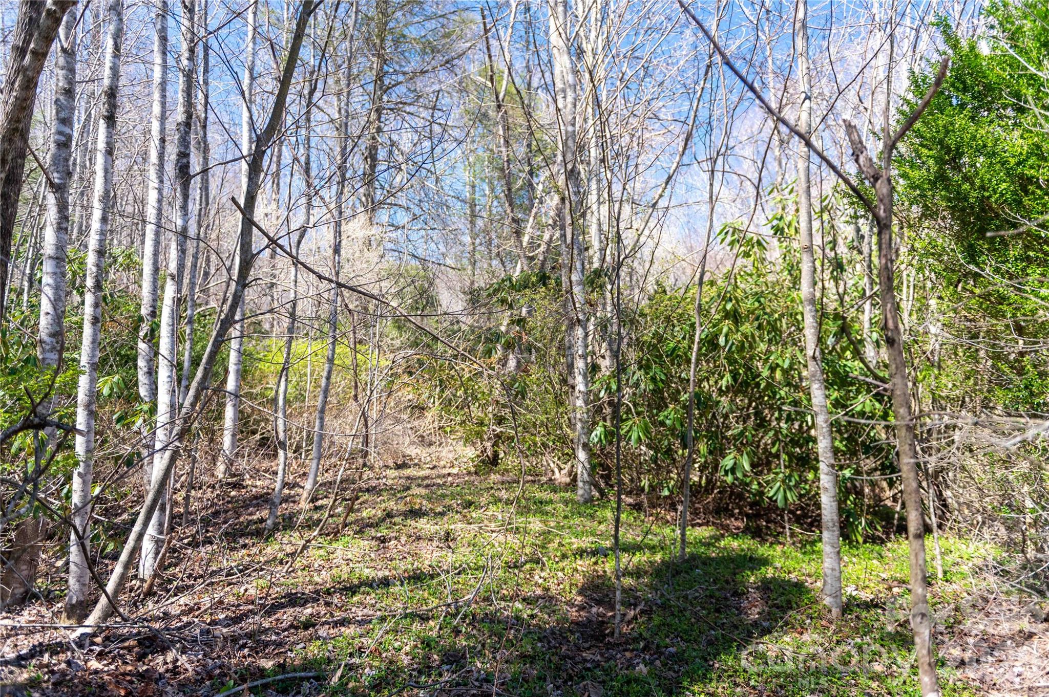 99 Banjo Branch Road Burnsville NC 28714