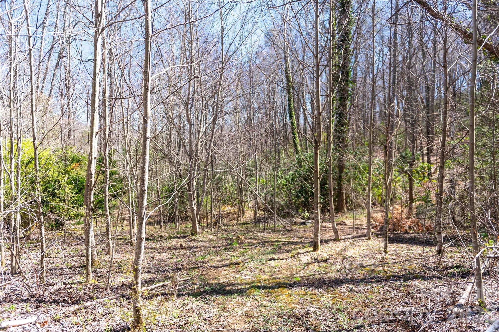 99 Banjo Branch Road Burnsville NC 28714
