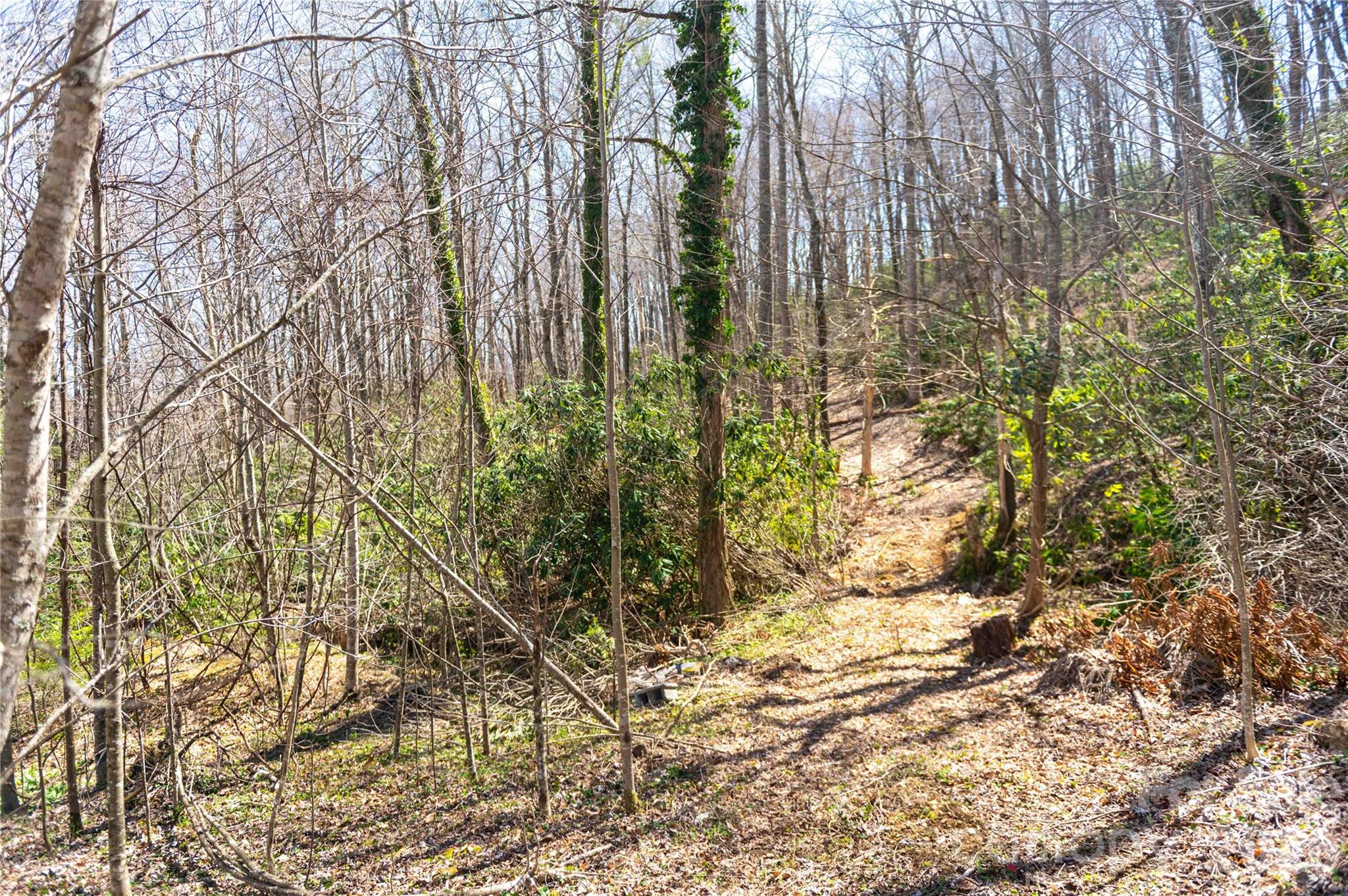 99 Banjo Branch Road Burnsville NC 28714
