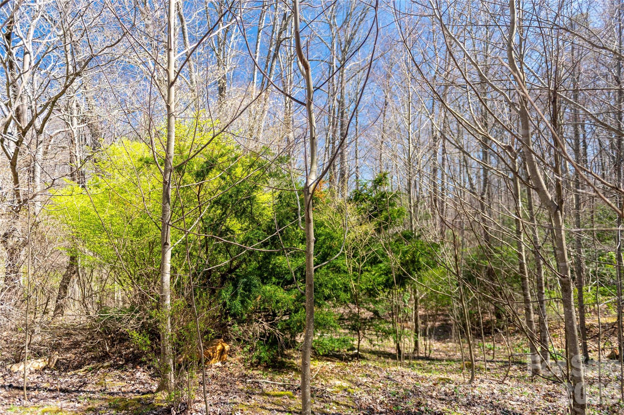 99 Banjo Branch Road Burnsville NC 28714