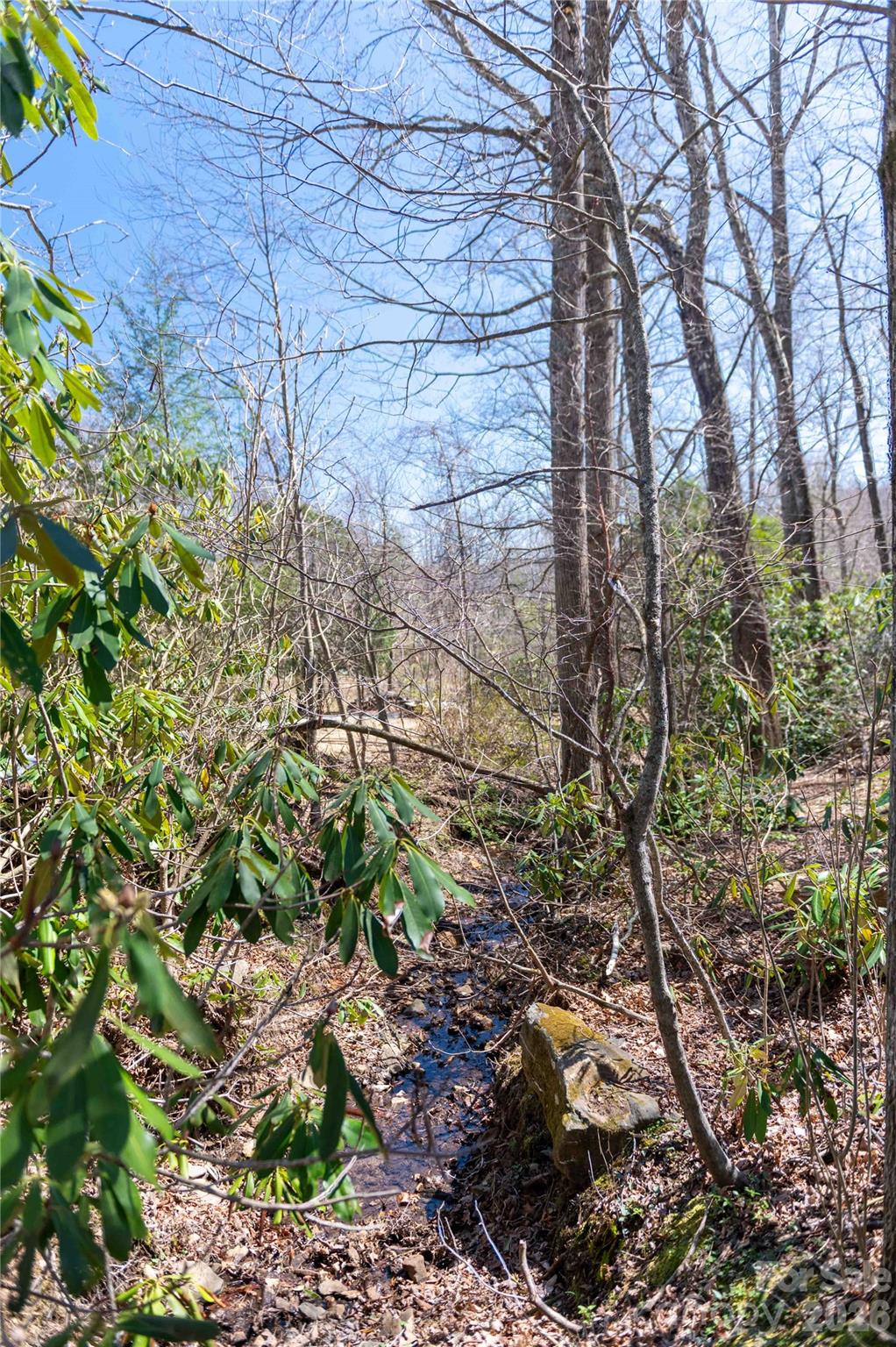 99 Banjo Branch Road Burnsville NC 28714