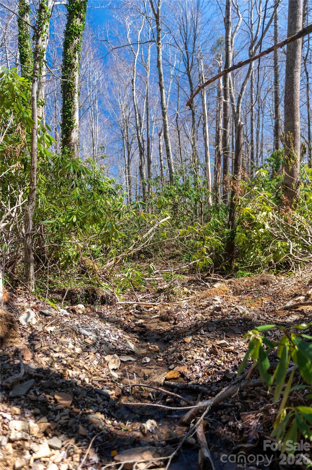 99 Banjo Branch Road Burnsville NC 28714