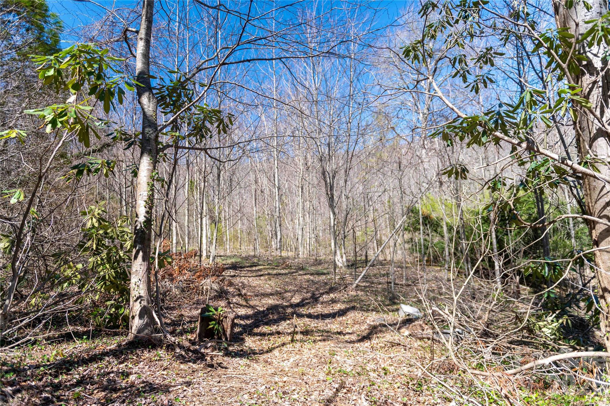 99 Banjo Branch Road Burnsville NC 28714