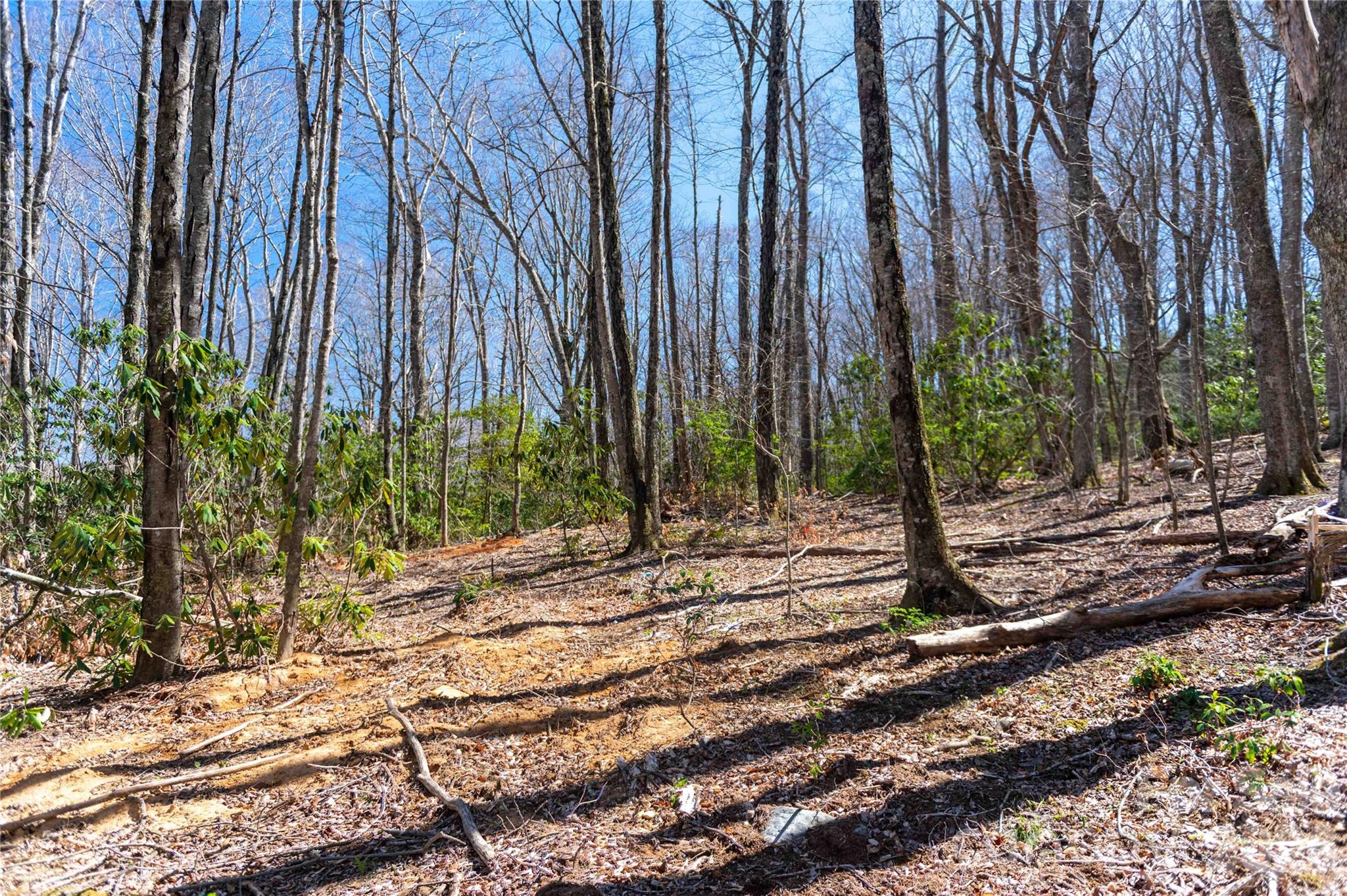 99 Banjo Branch Road Burnsville NC 28714