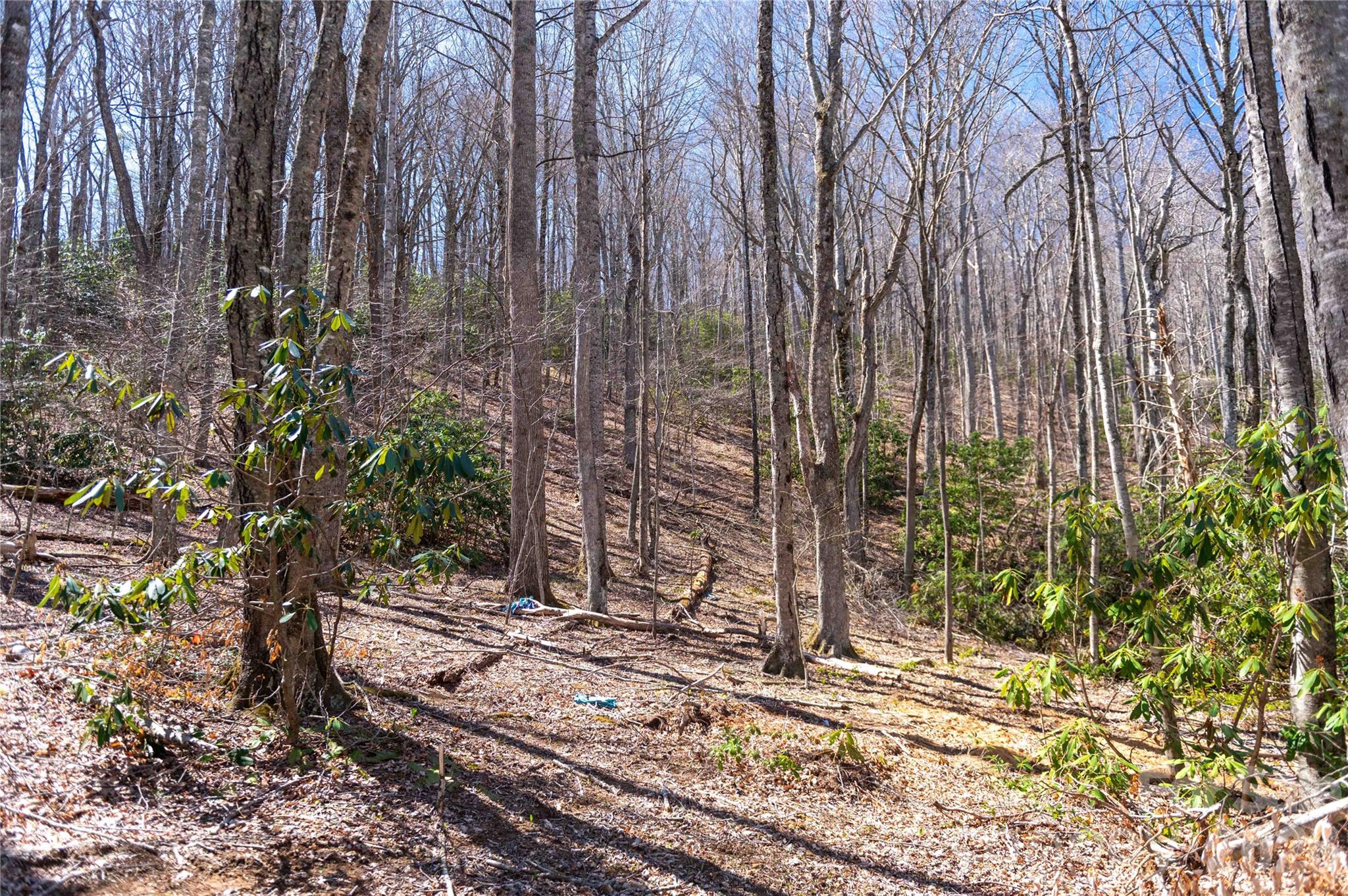 99 Banjo Branch Road Burnsville NC 28714