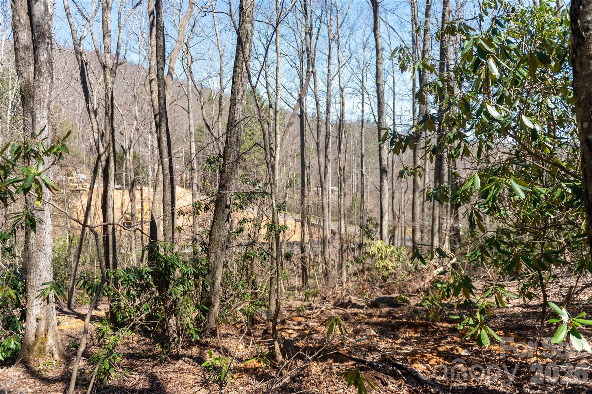 99 Banjo Branch Road Burnsville NC 28714