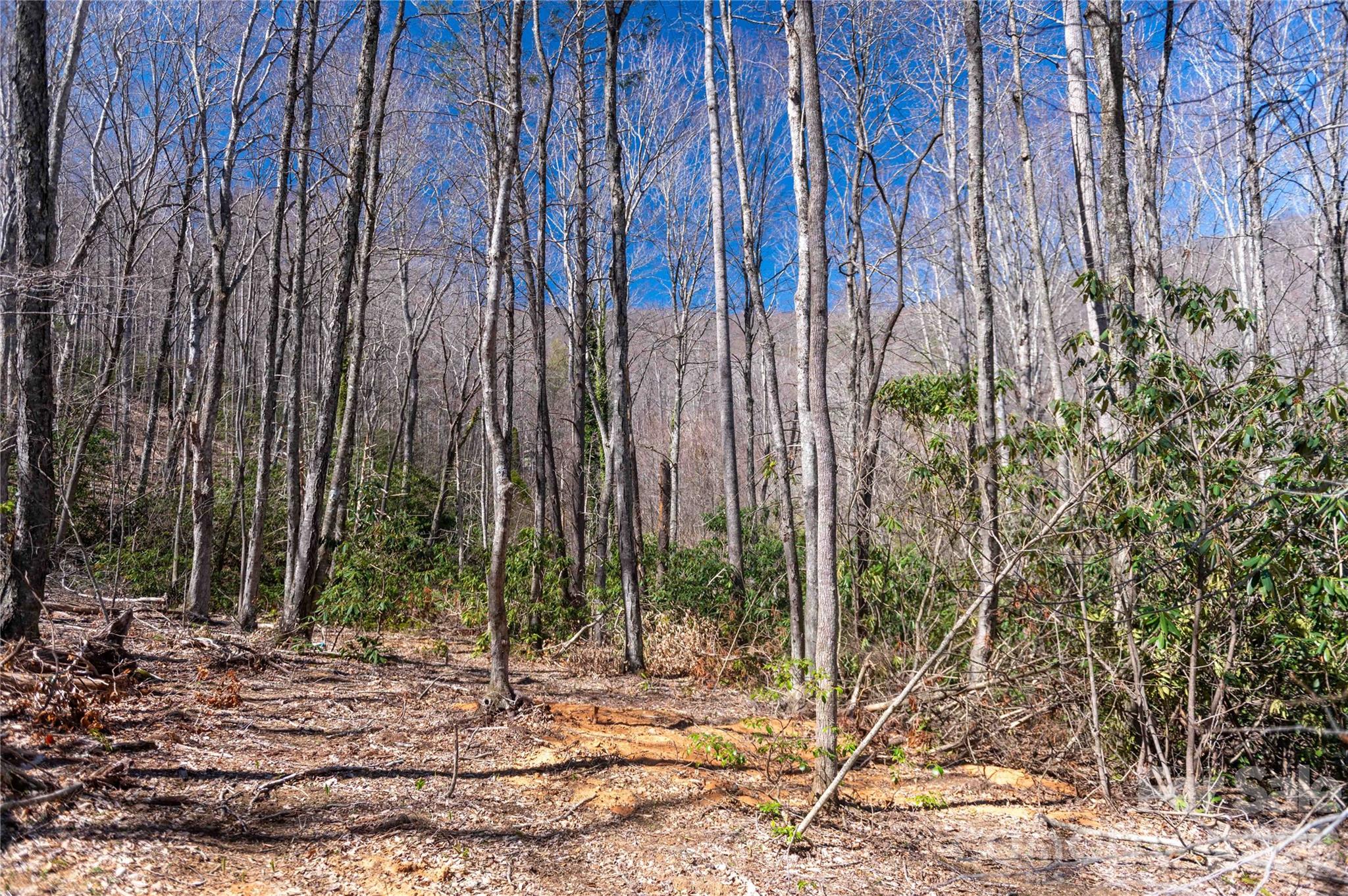 99 Banjo Branch Road Burnsville NC 28714