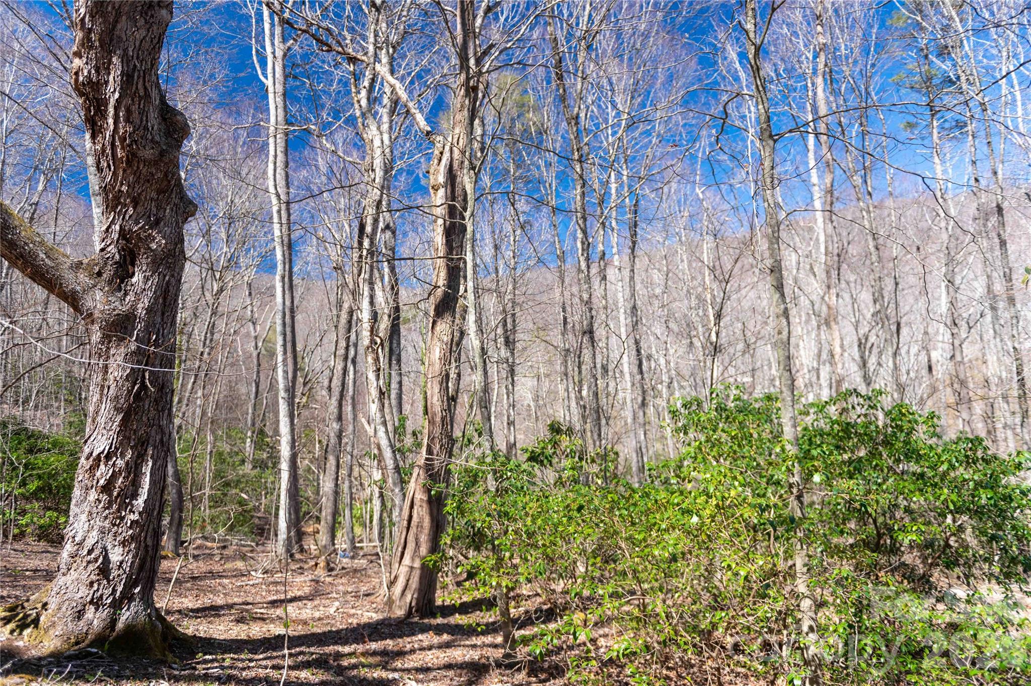 99 Banjo Branch Road Burnsville NC 28714