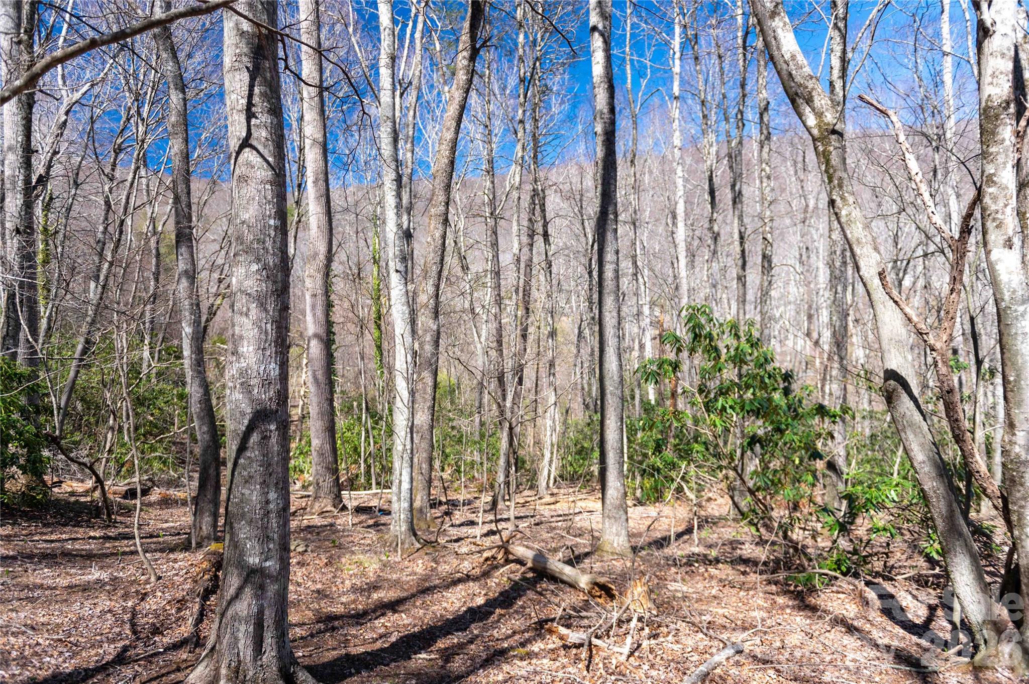 99 Banjo Branch Road Burnsville NC 28714