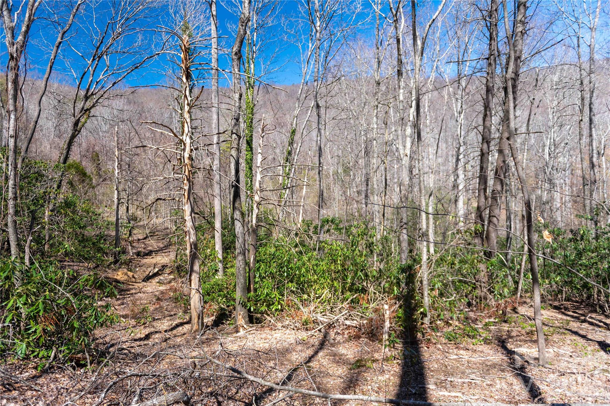 99 Banjo Branch Road Burnsville NC 28714