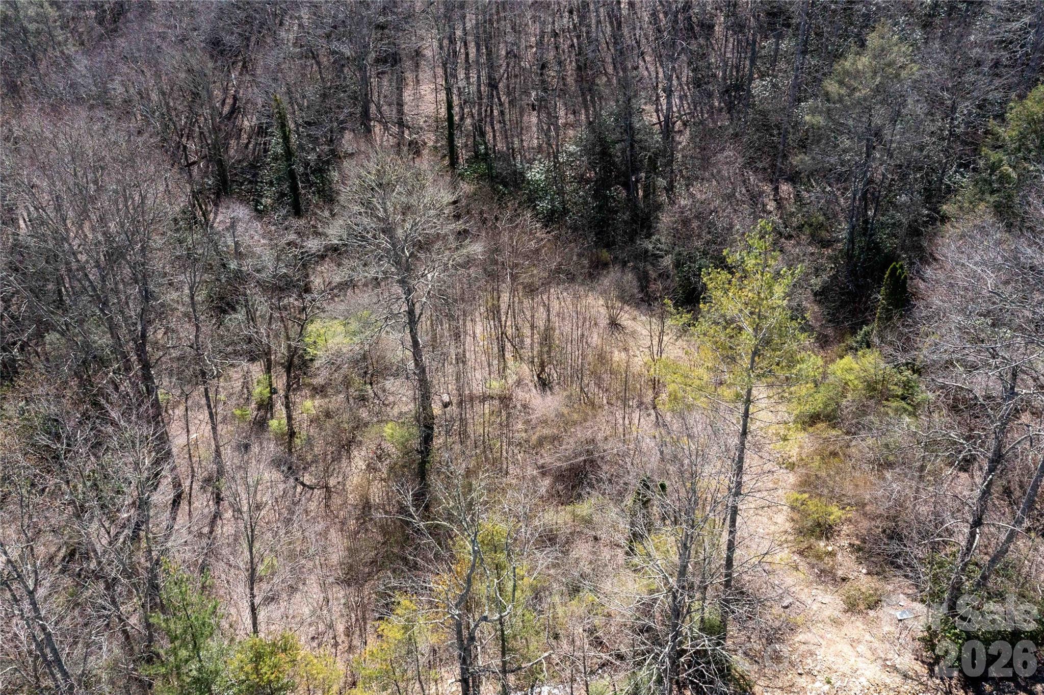 99 Banjo Branch Road Burnsville NC 28714