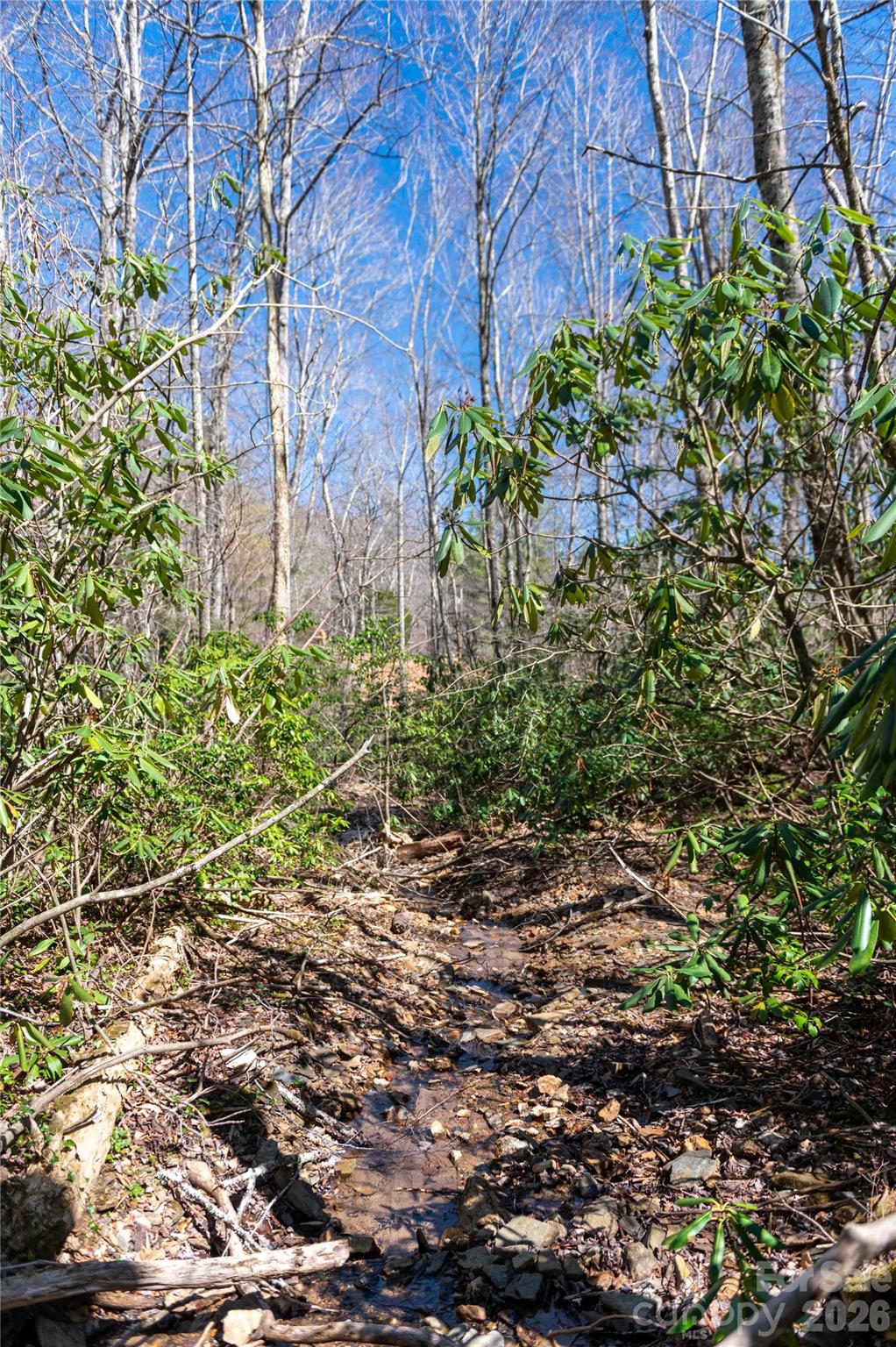 99 Banjo Branch Road Burnsville NC 28714