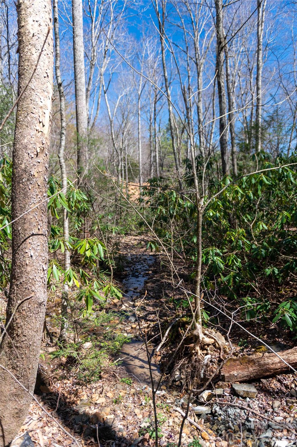 99 Banjo Branch Road Burnsville NC 28714