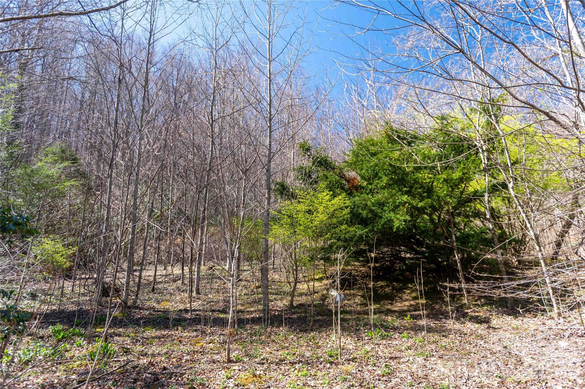99 Banjo Branch Road Burnsville NC 28714