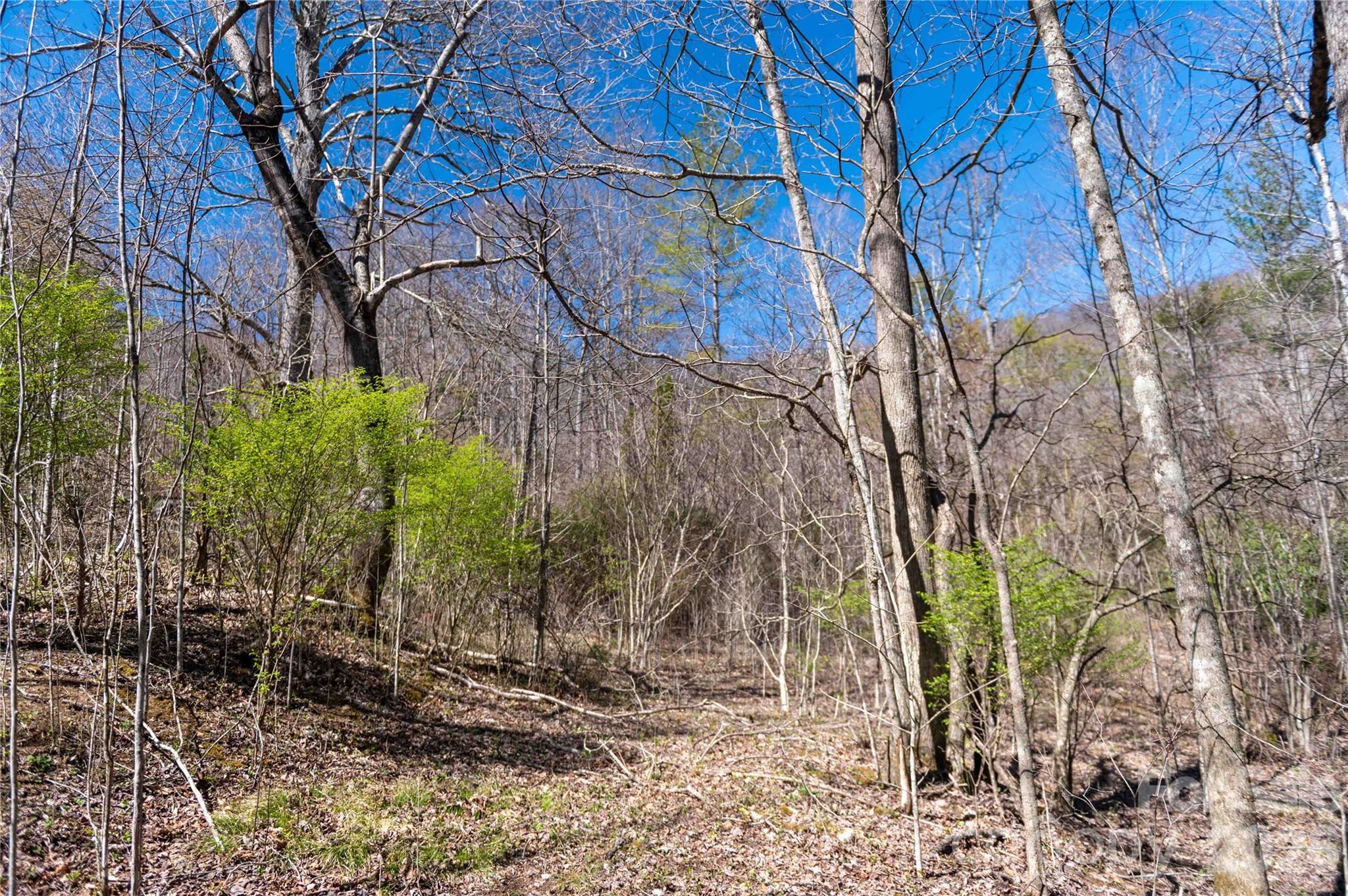 99 Banjo Branch Road Burnsville NC 28714