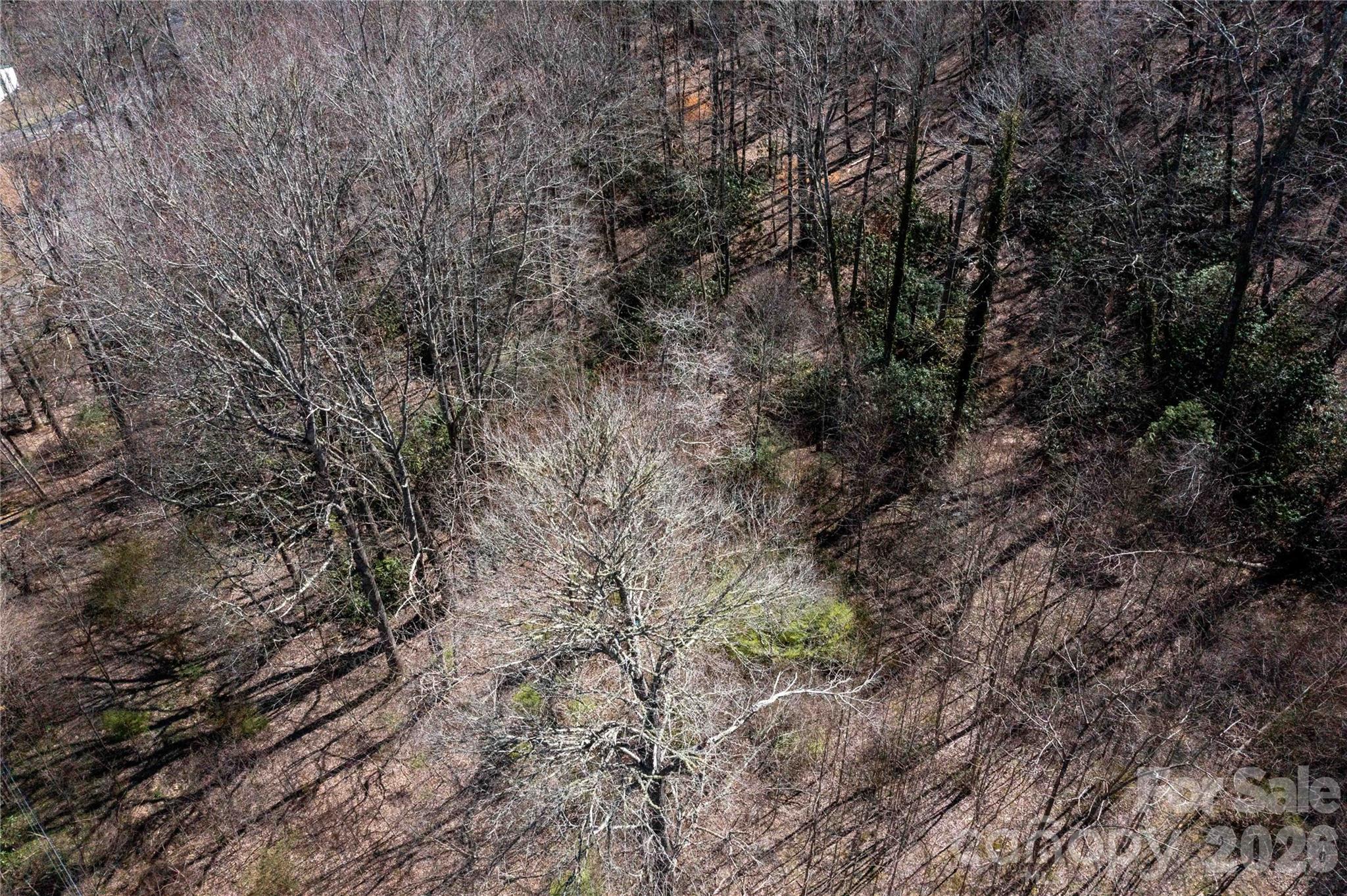 99 Banjo Branch Road Burnsville NC 28714