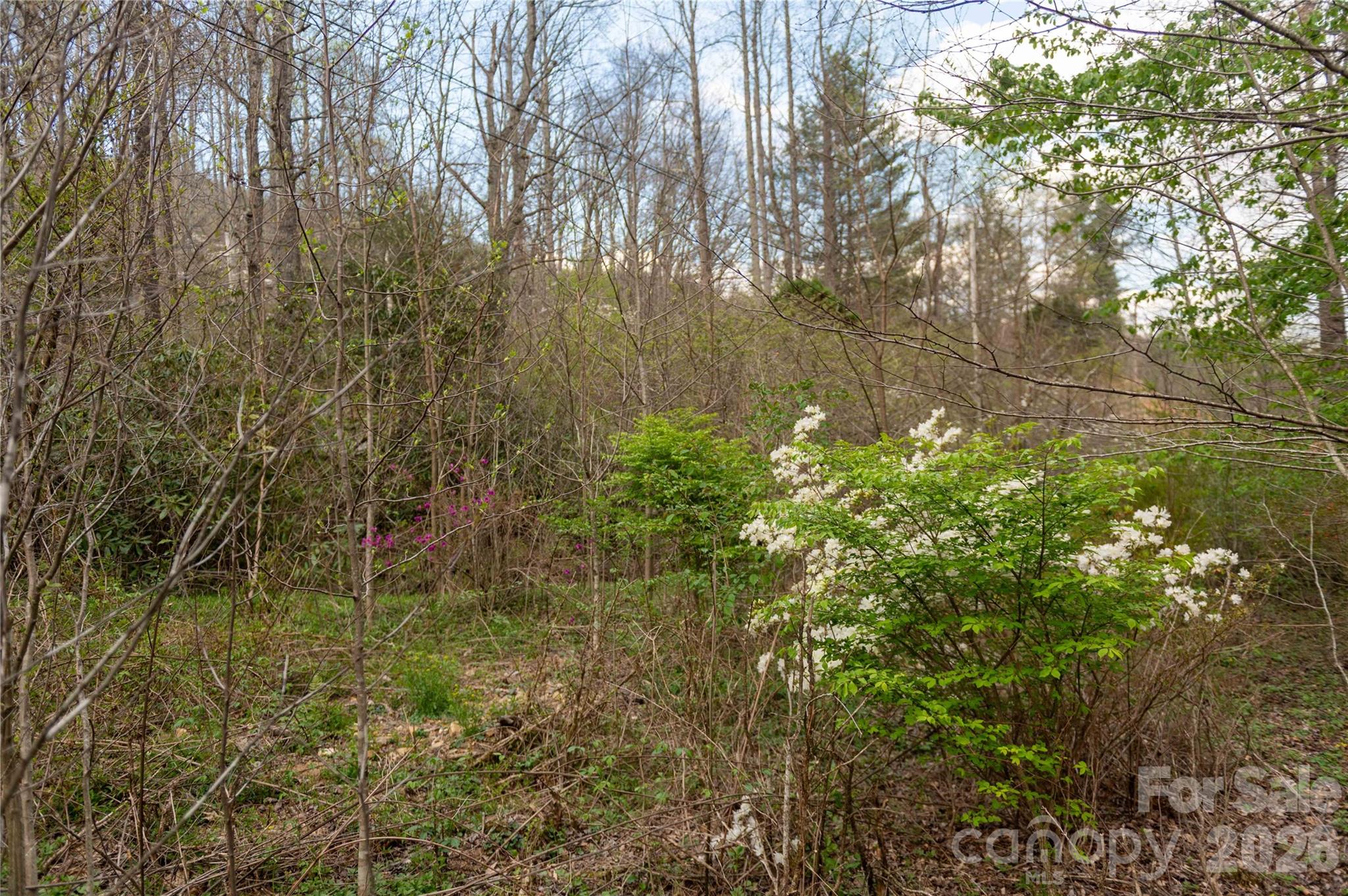 99 Banjo Branch Road Burnsville NC 28714