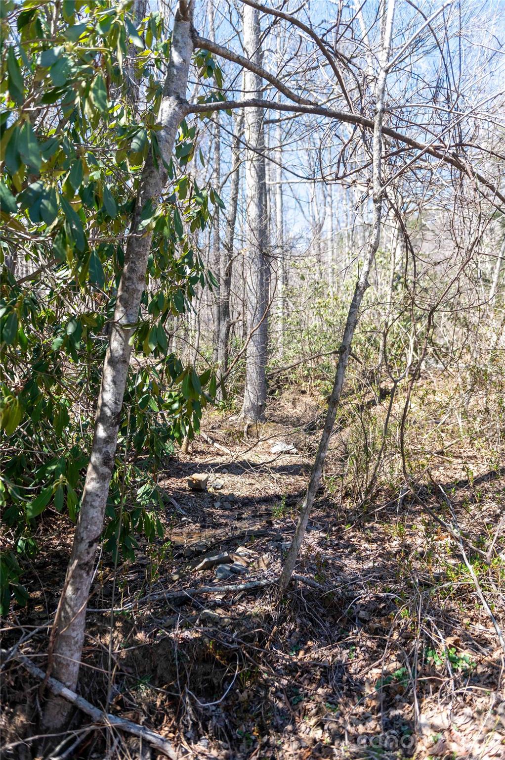 99 Banjo Branch Road Burnsville NC 28714