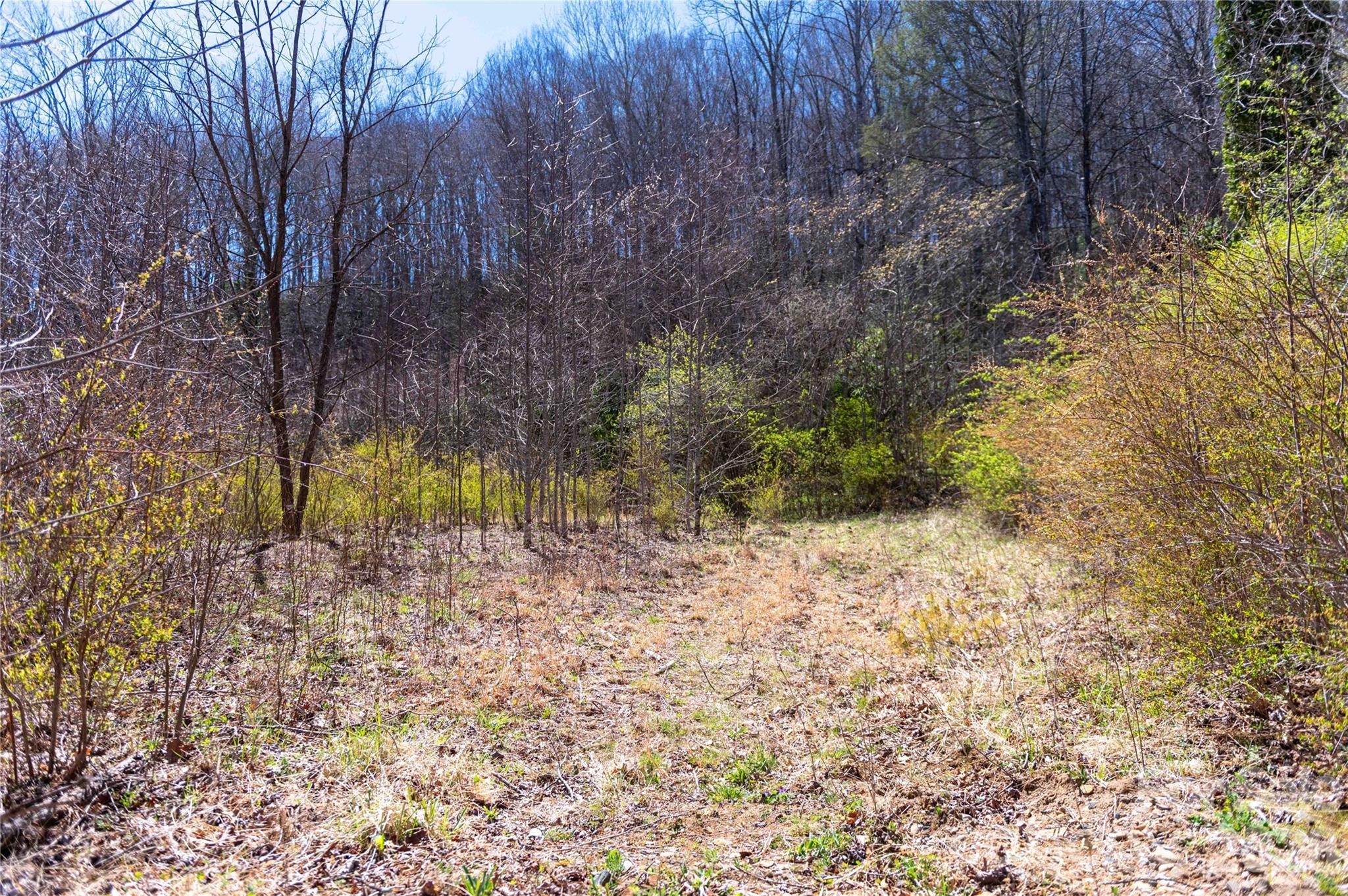 99 Banjo Branch Road Burnsville NC 28714