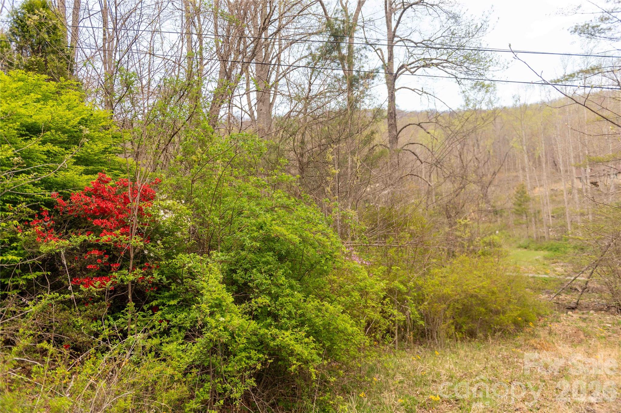 99 Banjo Branch Road Burnsville NC 28714