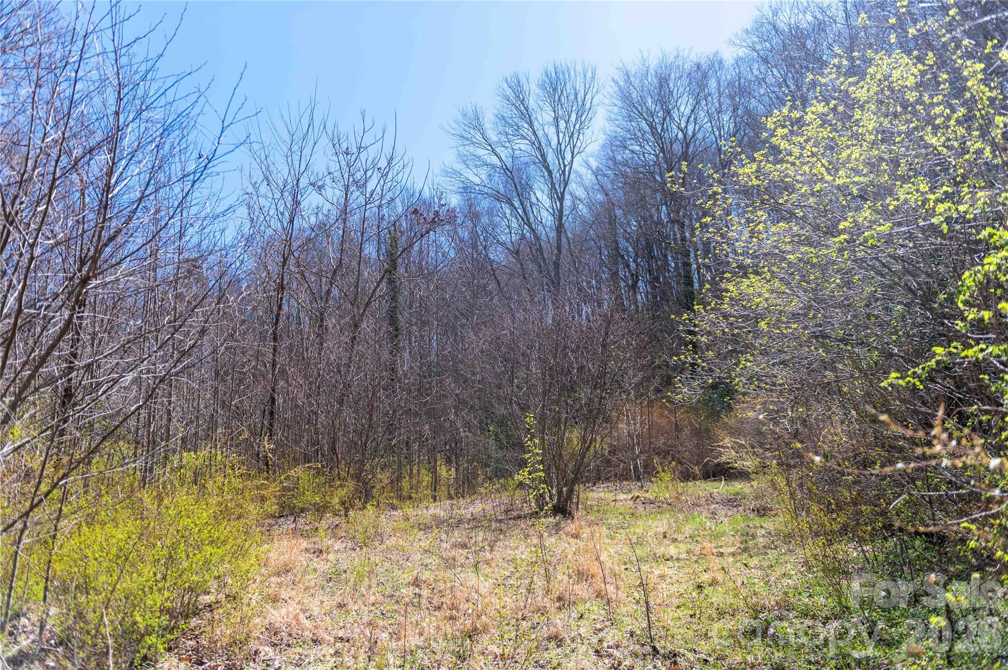 99 Banjo Branch Road Burnsville NC 28714