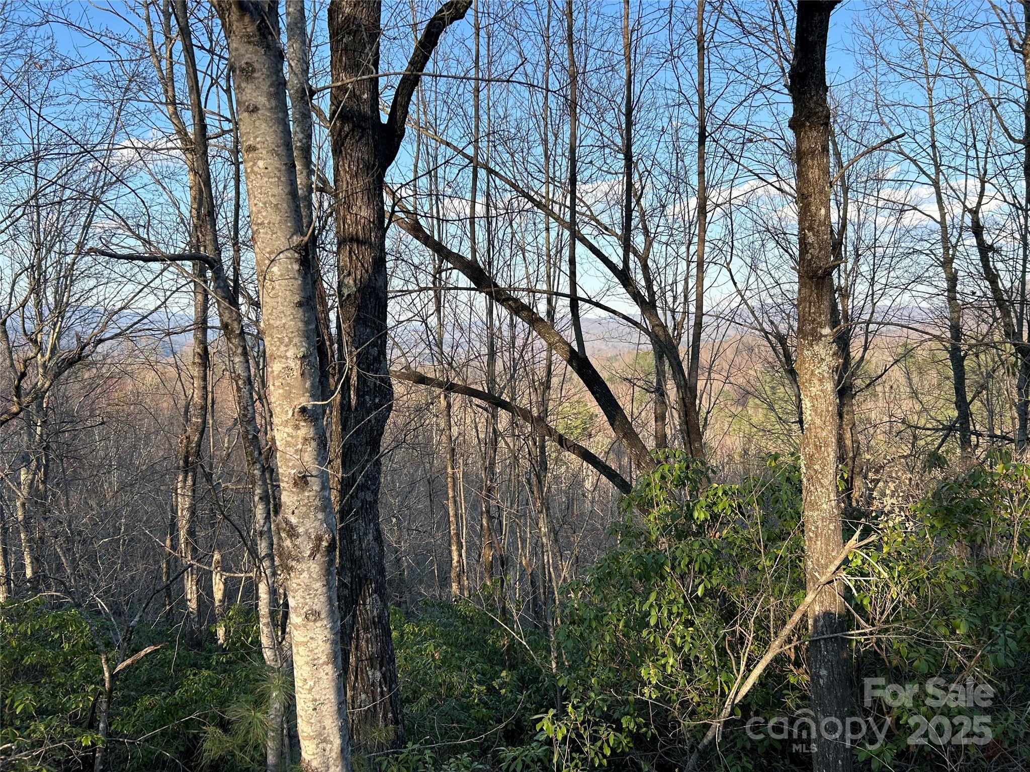 00 Howell Road Brevard NC 28712