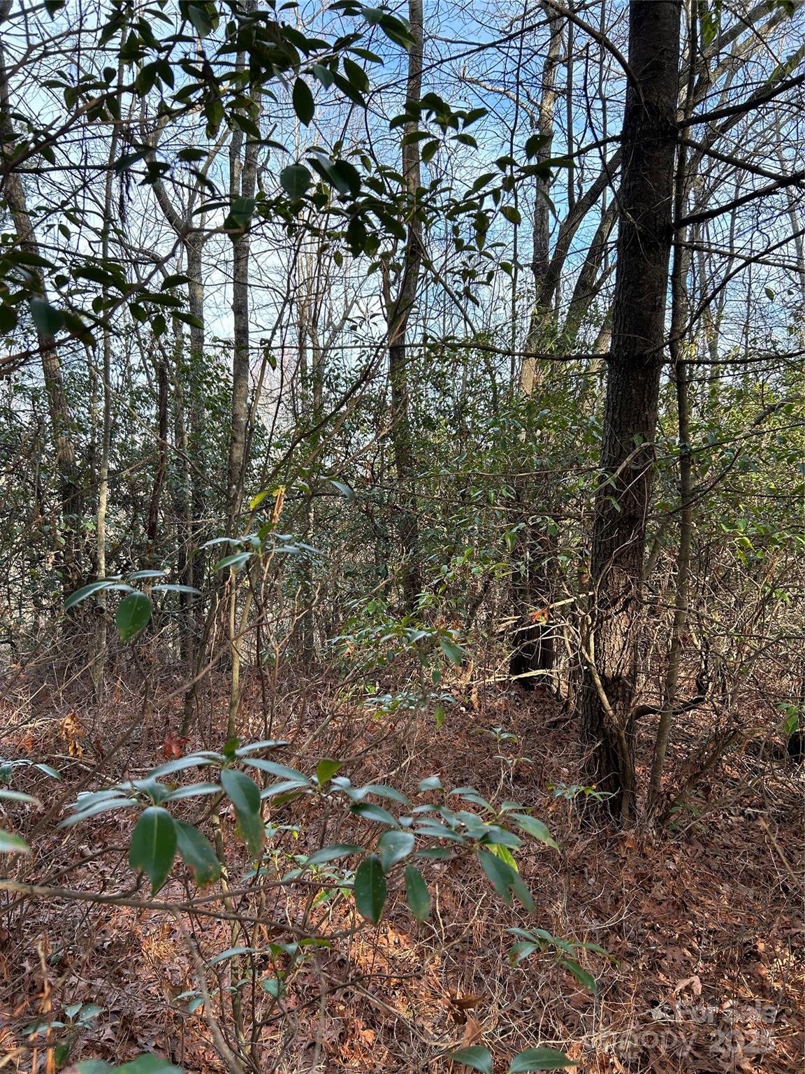 00 Howell Road Brevard NC 28712