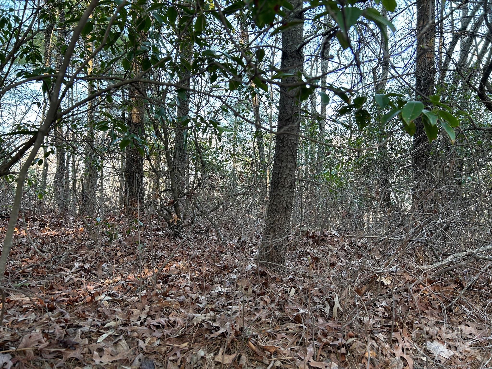 00 Howell Road Brevard NC 28712