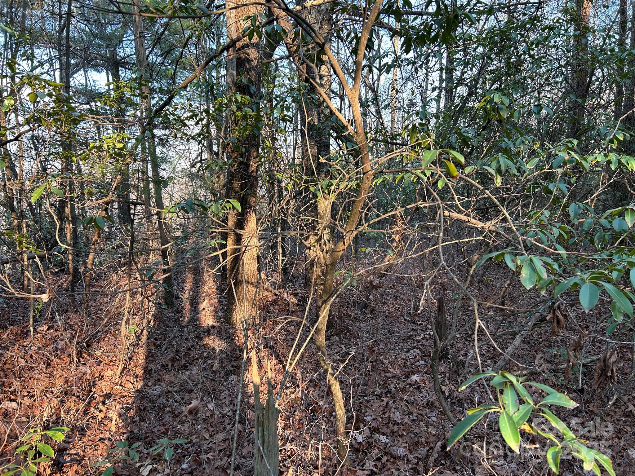 00 Howell Road Brevard NC 28712