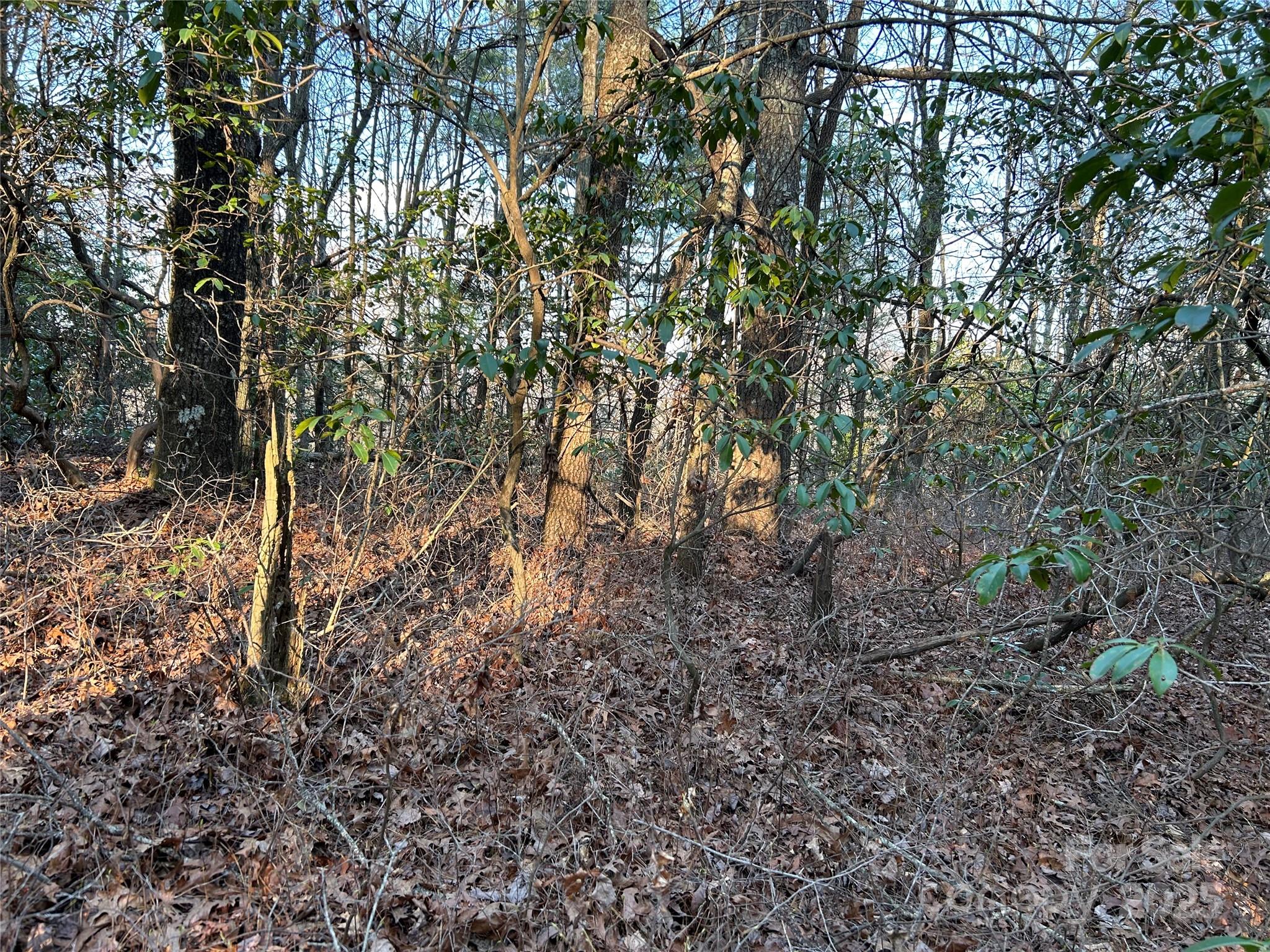 00 Howell Road Brevard NC 28712
