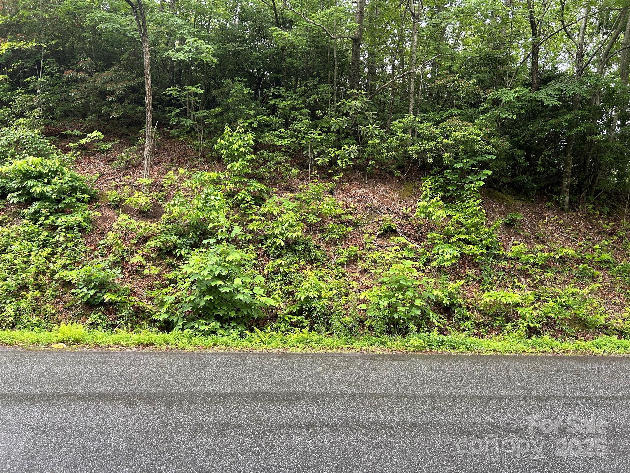 00 Howell Road Brevard NC 28712