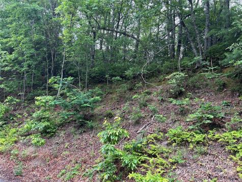 00 Howell Road Brevard NC 28712