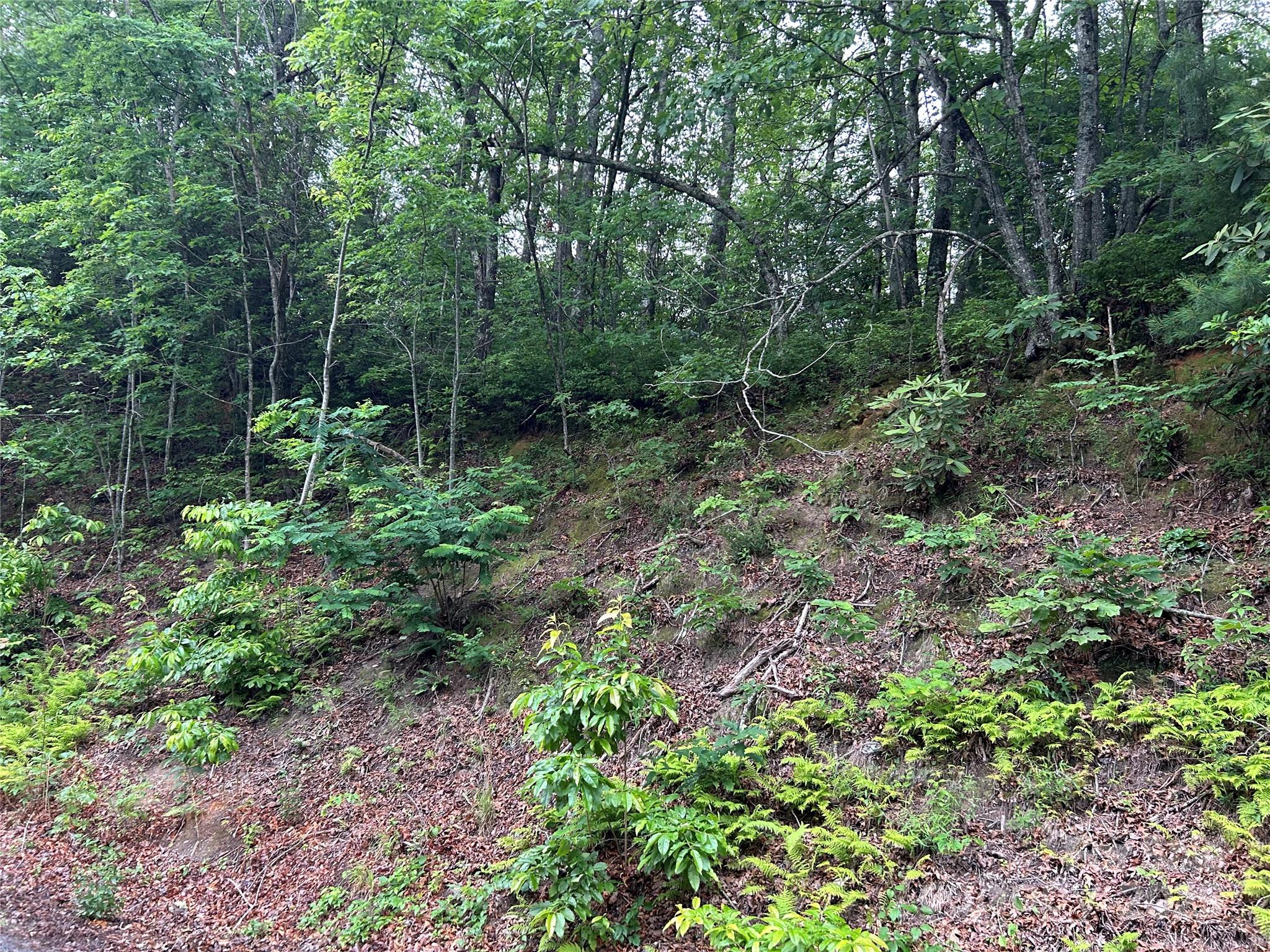 00 Howell Road Brevard NC 28712