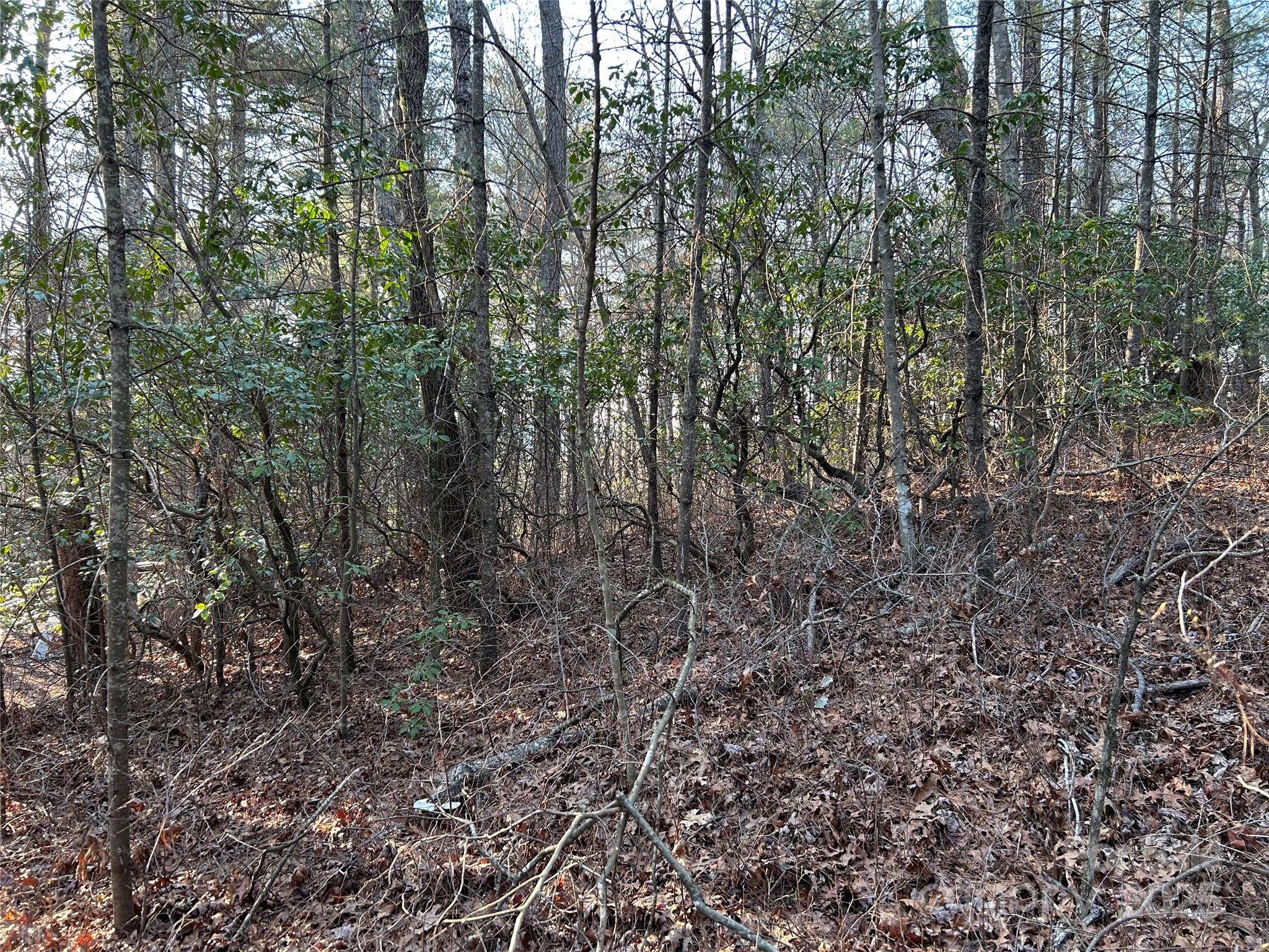 00 Howell Road Brevard NC 28712