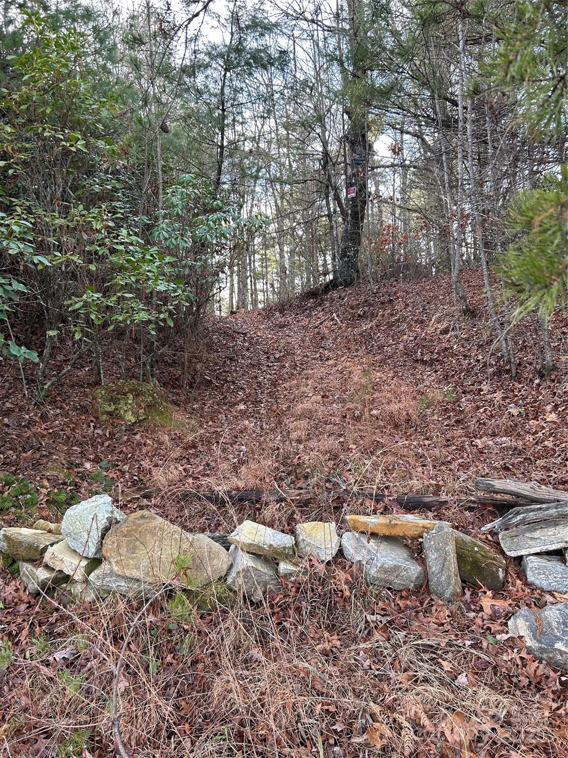 00 Howell Road Brevard NC 28712