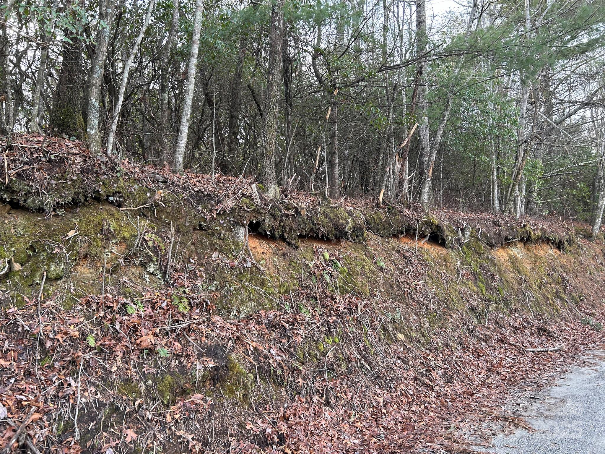 00 Howell Road Brevard NC 28712