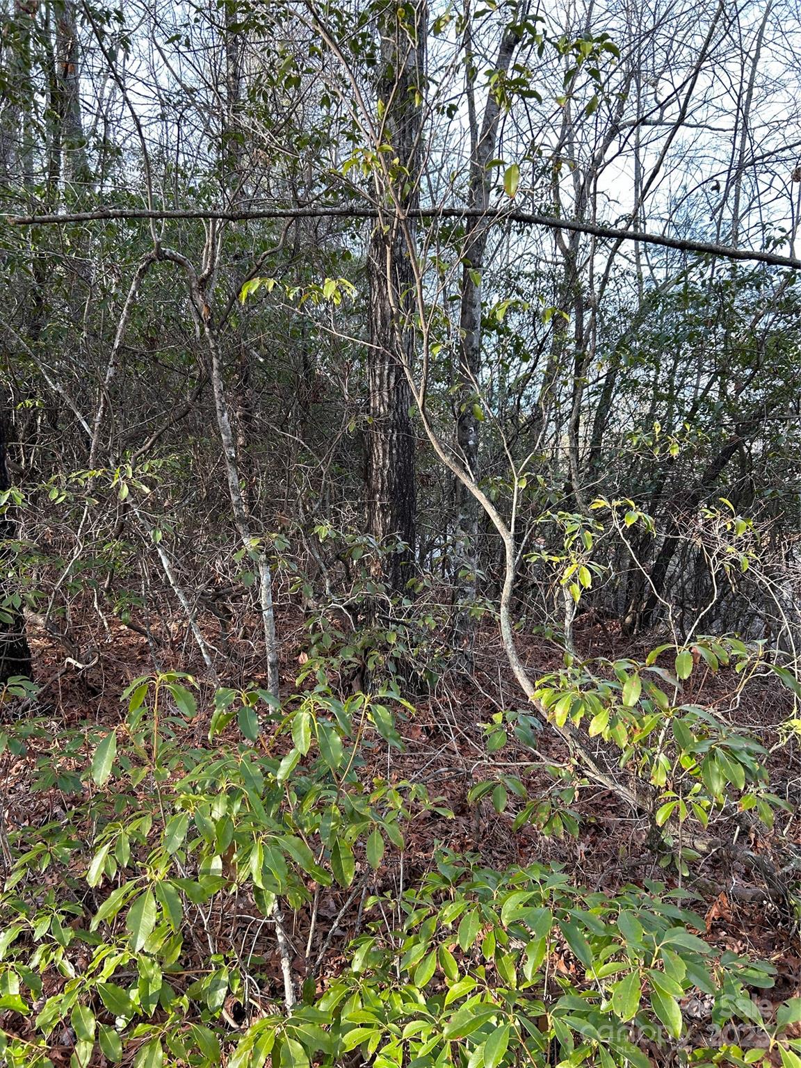 00 Howell Road Brevard NC 28712